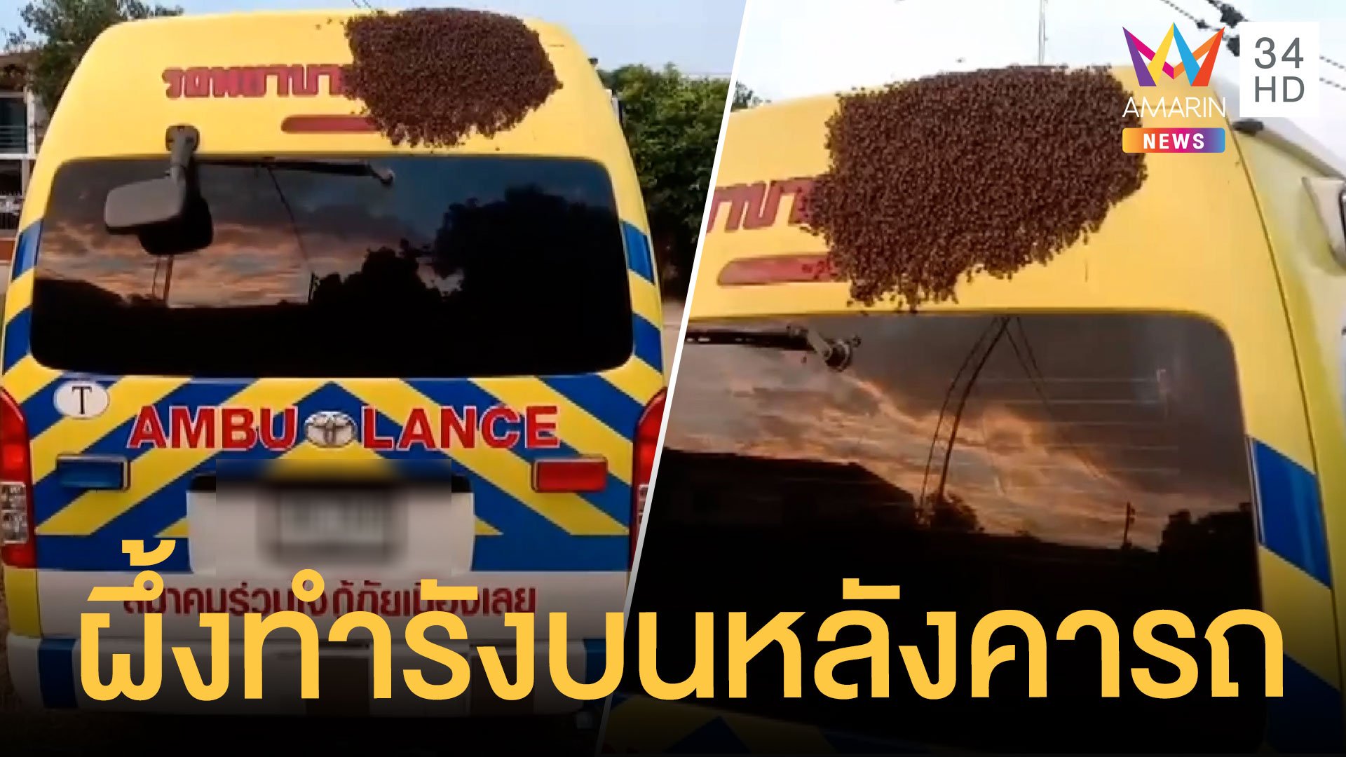 จอดรถอยู่ดีดี มาอีกทีผึ้งทำรังซะแล้ว ชาวบ้านแห่ส่องทะเบียนเพียบ | ข่าวอรุณอมรินทร์ | 14 พ.ค. 64 | AMARIN TVHD34