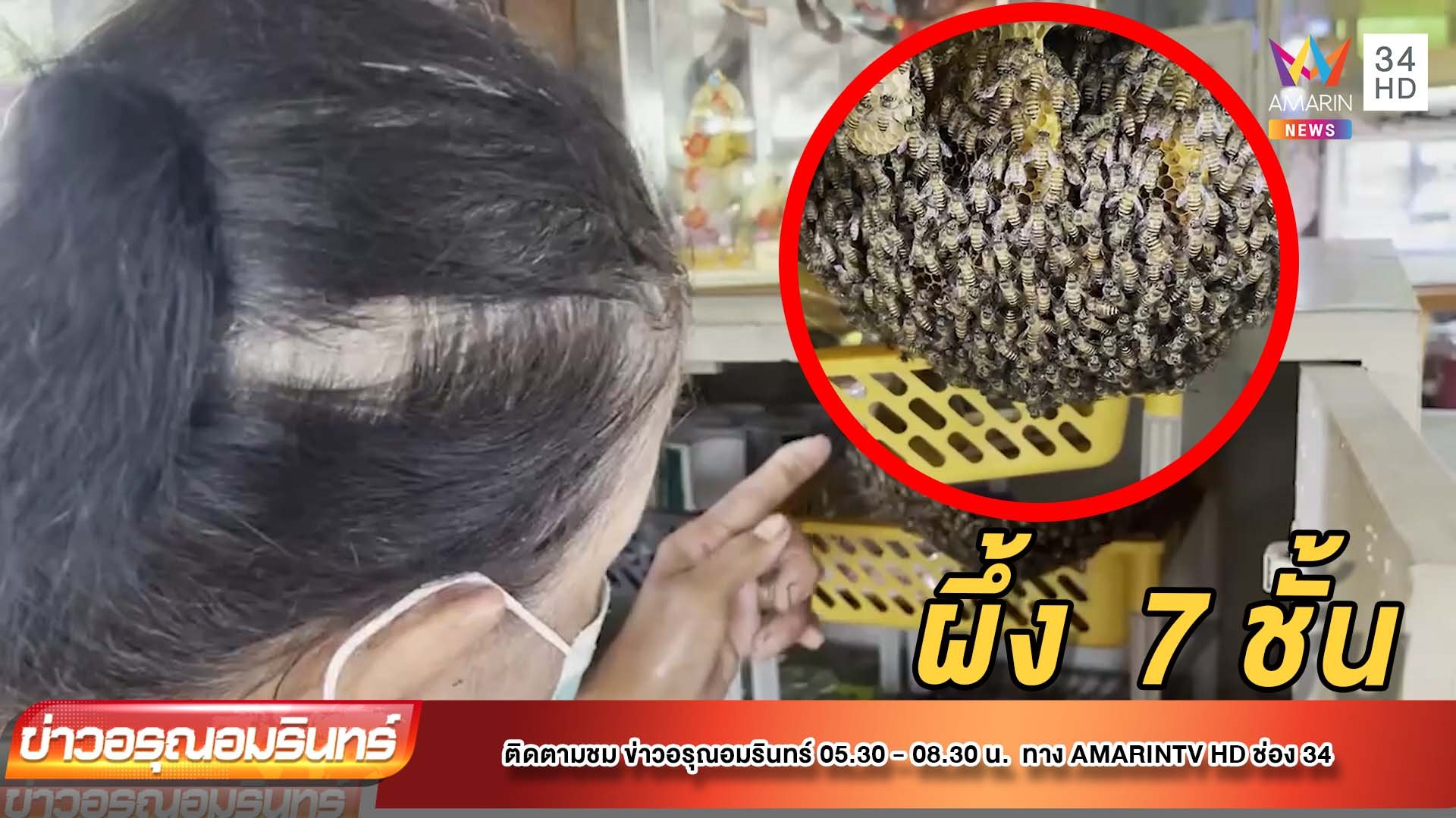 แปลก! ผึ้ง 7 ชั้น ทำรังในครัว | ข่าวอรุณอมรินทร์ | 14 ก.ย. 64 | AMARIN TVHD34