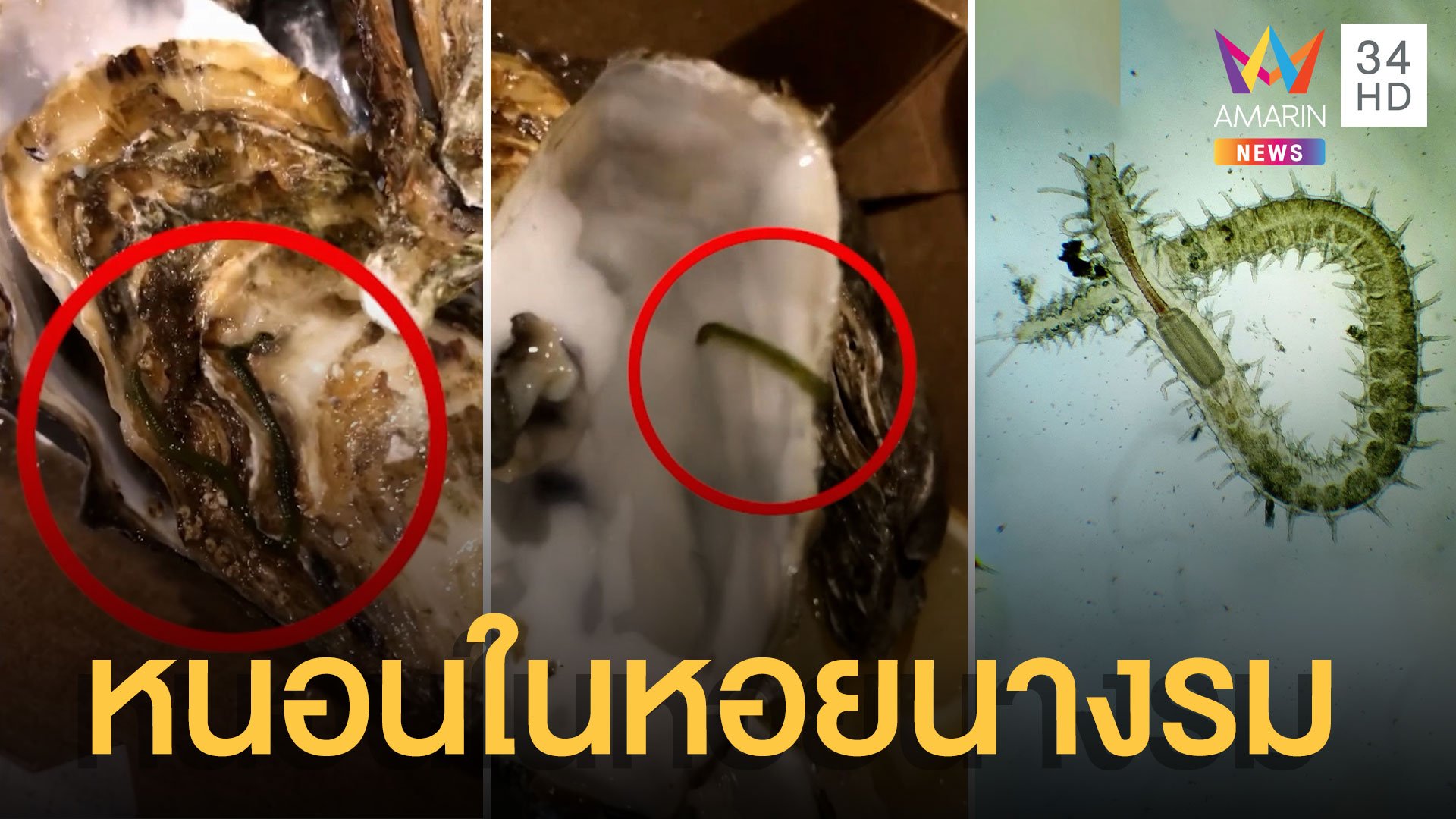 สาวผงะ! เจอหนอนประหลาดในหอยนางรมสด สยองไม่กล้ากิน | ข่าวอรุณอมรินทร์ | 15 ก.พ. 65 | AMARIN TVHD34