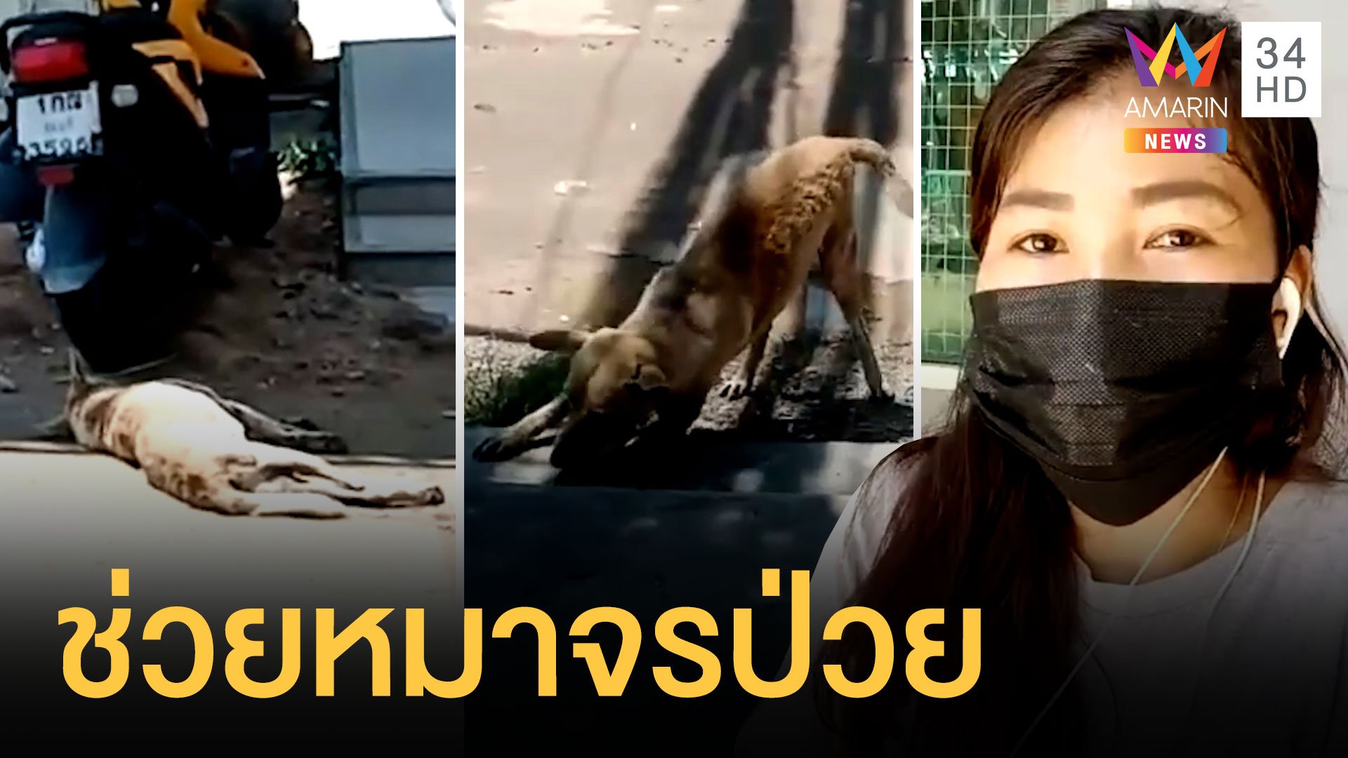 สาวน้ำใจงามจอดรถช่วยหมานอนชักข้างถนน | ข่าวอรุณอมรินทร์ | 16 เม.ย. 64 | AMARIN TVHD34