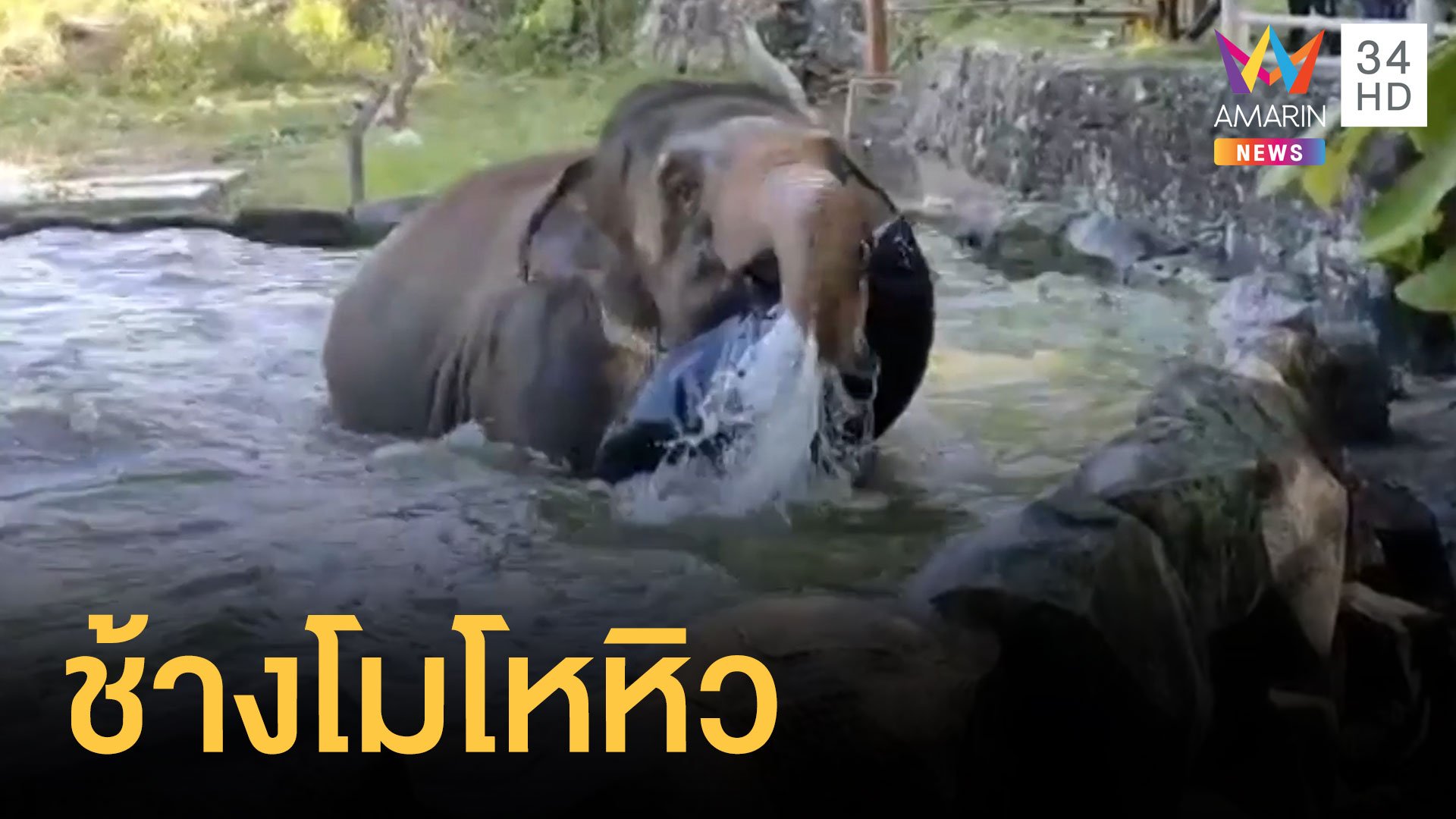 ช้างร้อนมากเล่นน้ำ กำลังจะเล่นห่วงยางแต่มันแตก | ข่าวอรุณอมรินทร์ | 16 เม.ย. 64 | AMARIN TVHD34