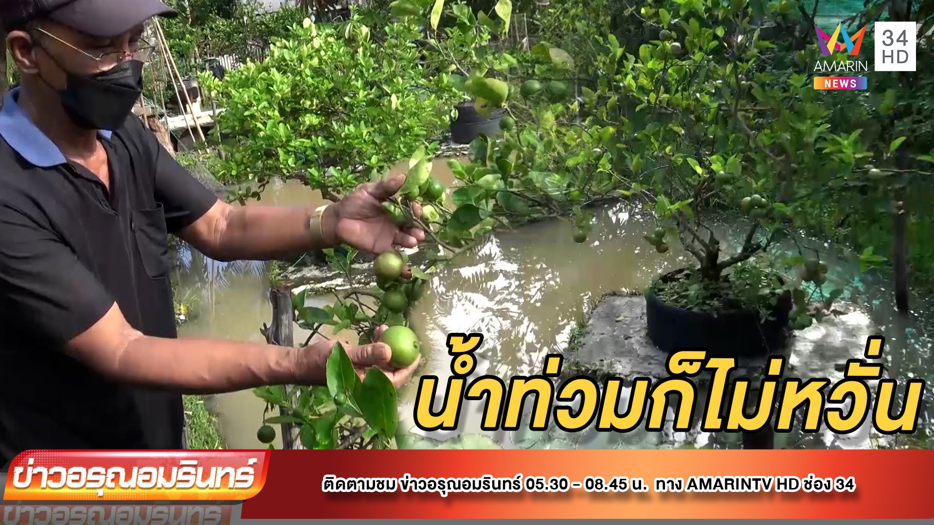 สุดเจ๋ง! เกษตรกรปรับตัวทำ “สวนมะนาวสะเทินน้ำสะเทินบก” | ข่าวอรุณอมรินทร์ | 18 พ.ย. 64 | AMARIN TVHD34