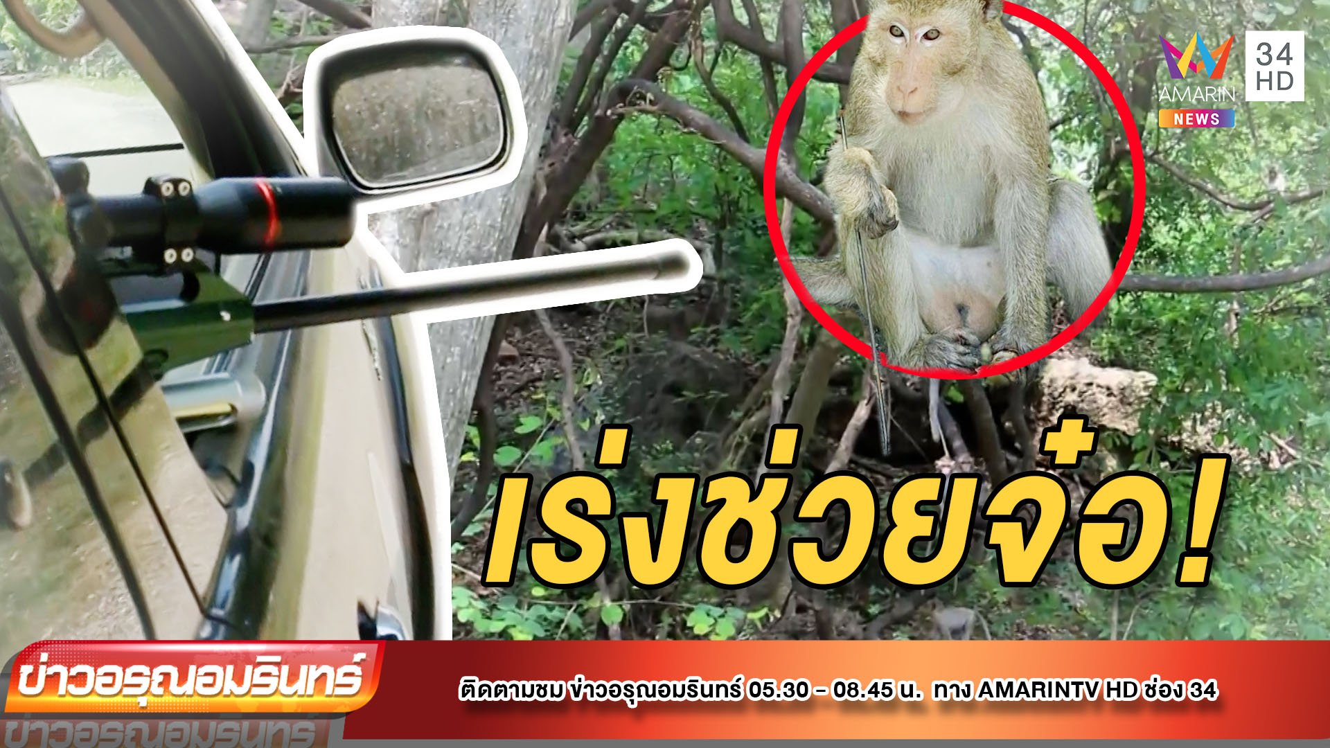 เร่งช่วยลิงราชบุรี โดนลูกดอกยิงปลาปักคามือทะลุ  | ข่าวอรุณอมรินทร์ | 18 มี.ค. 65 | AMARIN TVHD34