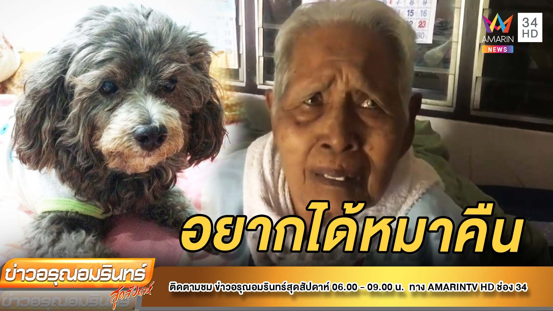 “กินนอนไม่ได้” ยาย 92 ปี อัดคลิปตามหาสุนัข | ข่าวอรุณอมรินทร์ สุดสัปดาห์ | 2 ต.ค. 64 | AMARIN TVHD34