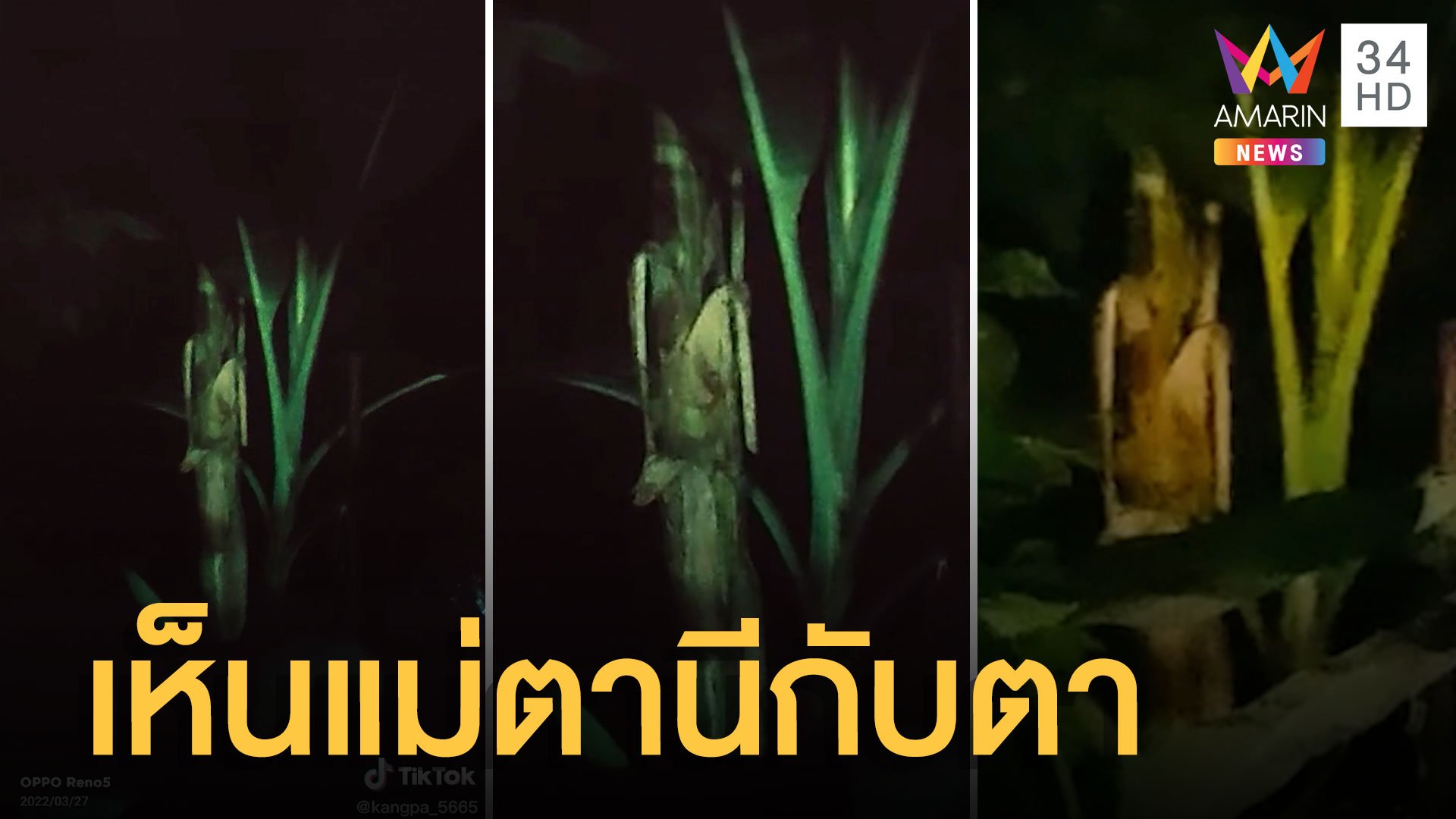 สาวอัดคลิปเจอ 'แม่ตานี' ยืนข้างต้นกล้วย ใส่ชุดไทยสไบทอง | ข่าวอรุณอมรินทร์ | 2 เม.ย. 65 | AMARIN TVHD34