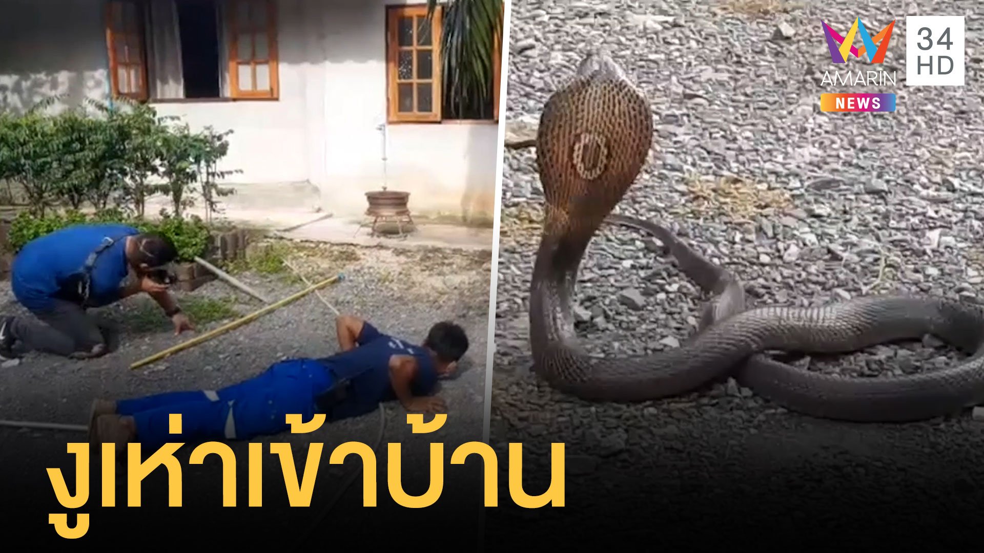 งูเห่ามุดใต้บ้านแผ่แม่เบี้ยดุใส่กู้ภัย | ข่าวอรุณอมรินทร์ | 20 ก.ย. 64 | AMARIN TVHD34