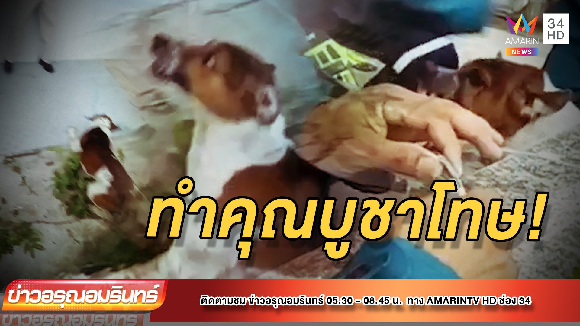 ช่วยหมาหัวติดกำแพง กู้ภัยเกือบโดนขย้ำคอ! | ข่าวอรุณอมรินทร์ | 24 พ.ค. 65 | AMARIN TVHD34