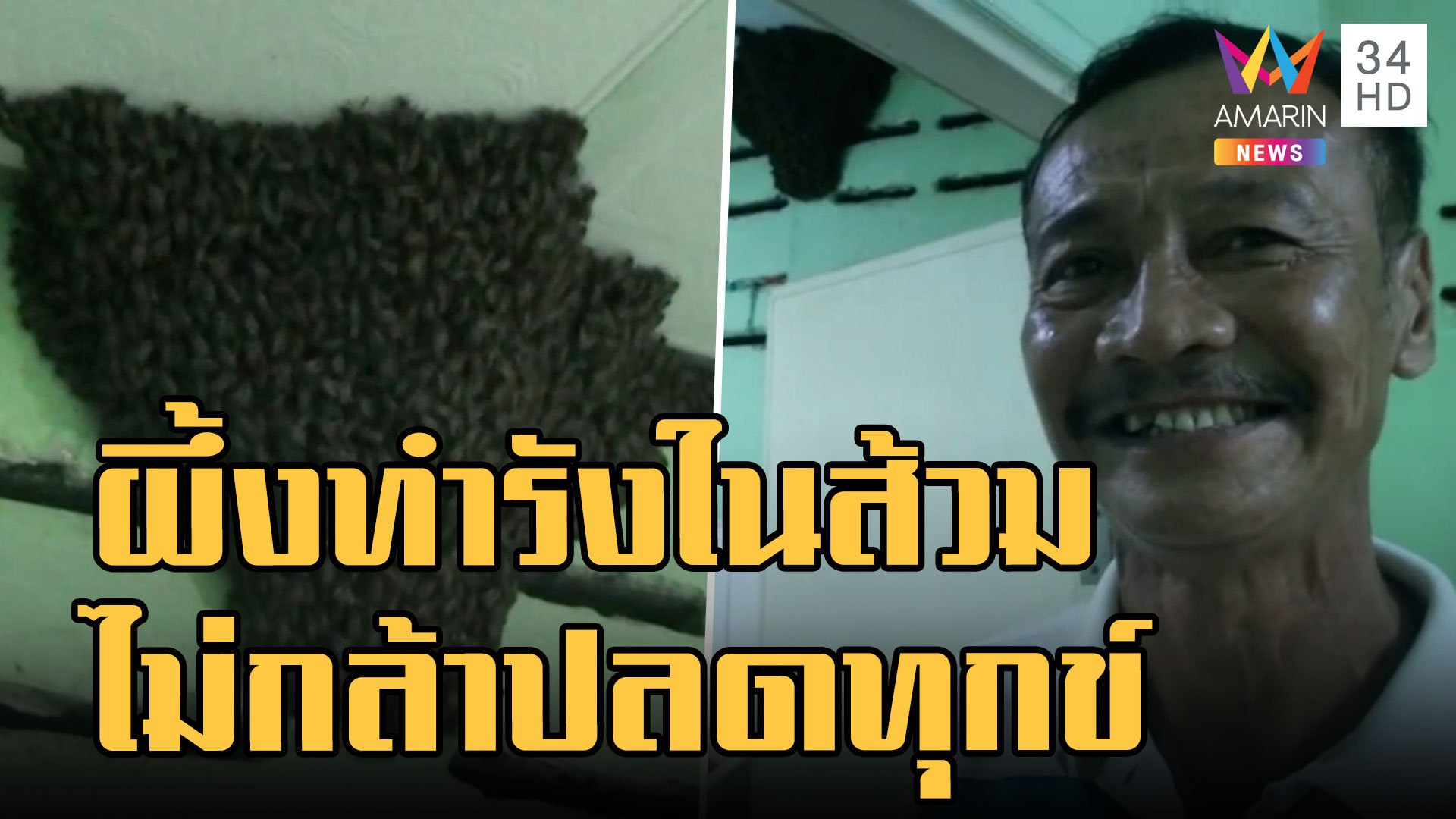 กู้ภัยรมควันรังผึ้งในส้วม เจ้าของบ้านไม่กล้าเข้าห้องน้ำบ้านตัวเอง | ข่าวอรุณอมรินทร์ | 25 ส.ค. 65 | AMARIN TVHD34