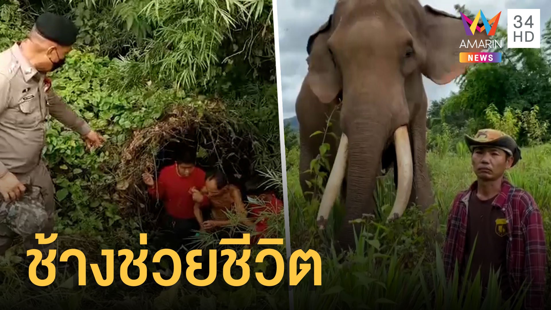ลุงหลงป่า 17 วัน เจอตัวเพราะช้าง | ข่าวอรุณอมรินทร์ | 29 ก.ค. 64 | AMARIN TVHD34