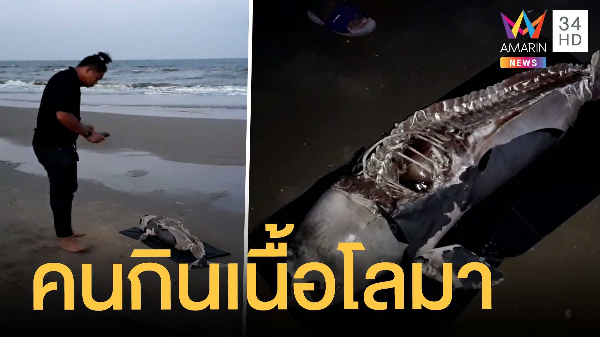 คนเปิบพิสดารกินเนื้อโลมาหัวบาตร ทิ้งซากตายบนหาด | ข่าวอรุณอมรินทร์ | 4 พ.ย. 63 | AMARIN TVHD34