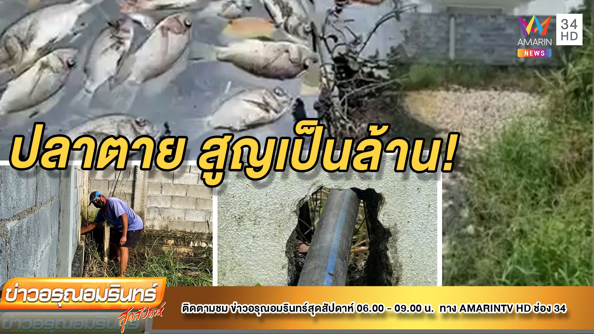 โวยหมู่บ้านหรูปล่อยน้ำเสีย ทำปลาตายสูญเป็นล้าน | ข่าวอรุณอมรินทร์ | 6 พ.ย. 64 | AMARIN TVHD34