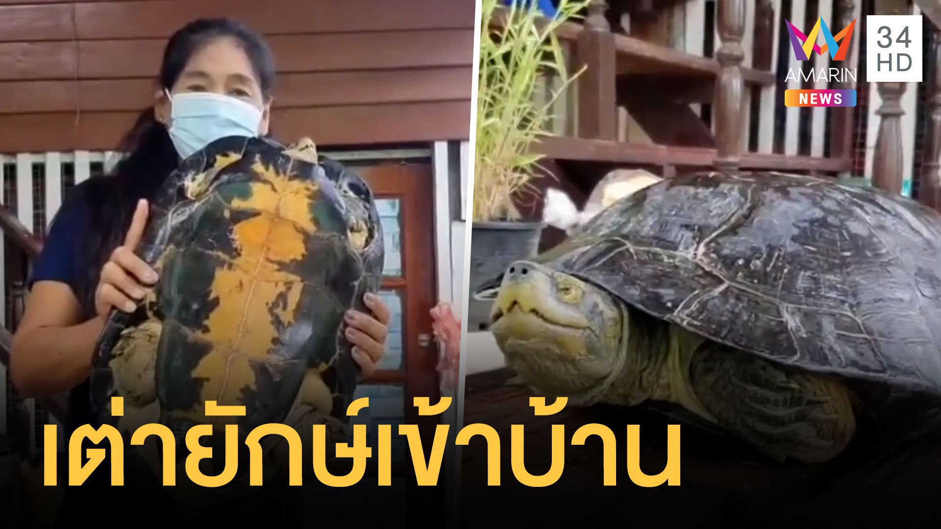 น้ำท่วมเต่ายักษ์ งู ตะขาบ ตัวเงินตัวทอง เข้าบ้าน | ข่าวอรุณอมรินทร์ | 7 ต.ค. 64 | AMARIN TVHD34
