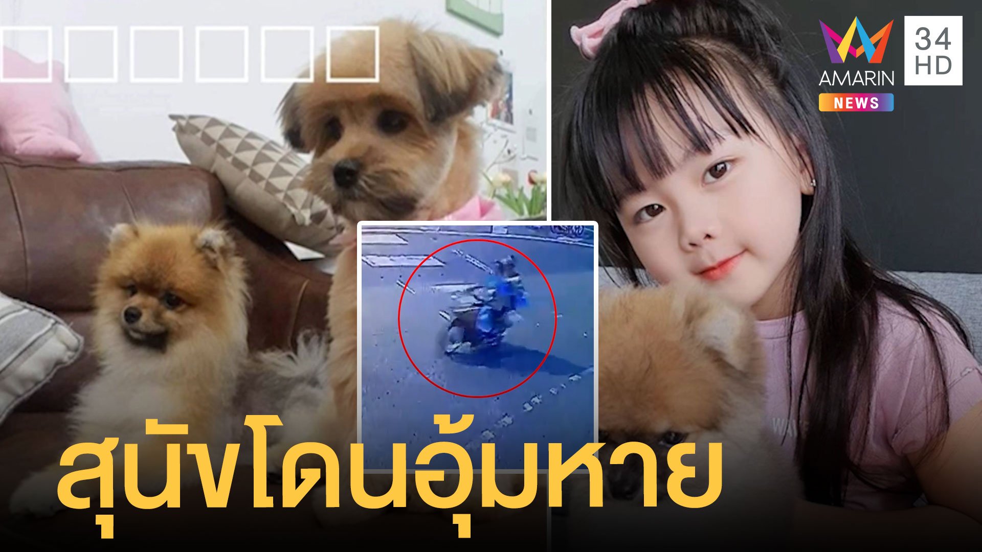 6 ขวบสุดเศร้า สุนัขแสนรักถูกอุ้มหาย 2 ตัว | ข่าวอรุณอมรินทร์ | 8 ต.ค. 64 | AMARIN TVHD34