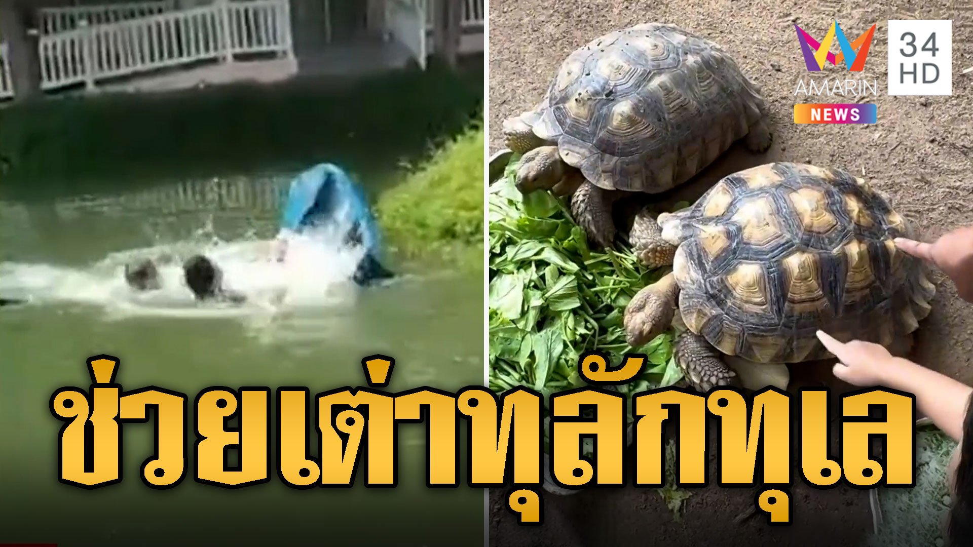 ทุลักทุเล! 2 หนุ่มพายเรือช่วยเต่า เรือล่มตกน้ำป๋อมแป๋ม  | ข่าวอรุณอมรินทร์ | 8 ส.ค. 67 | AMARIN TVHD34