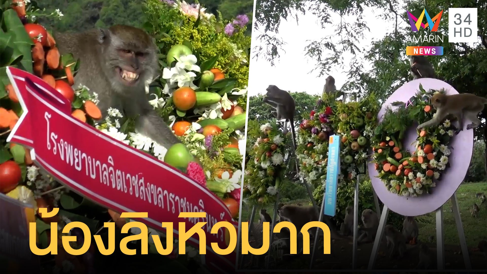 ฝูงลิงเป็นร้อยบุกกินพวงมาลาผลไม้ | ข่าวอรุณอมรินทร์ | 9 เม.ย. 64 | AMARIN TVHD34
