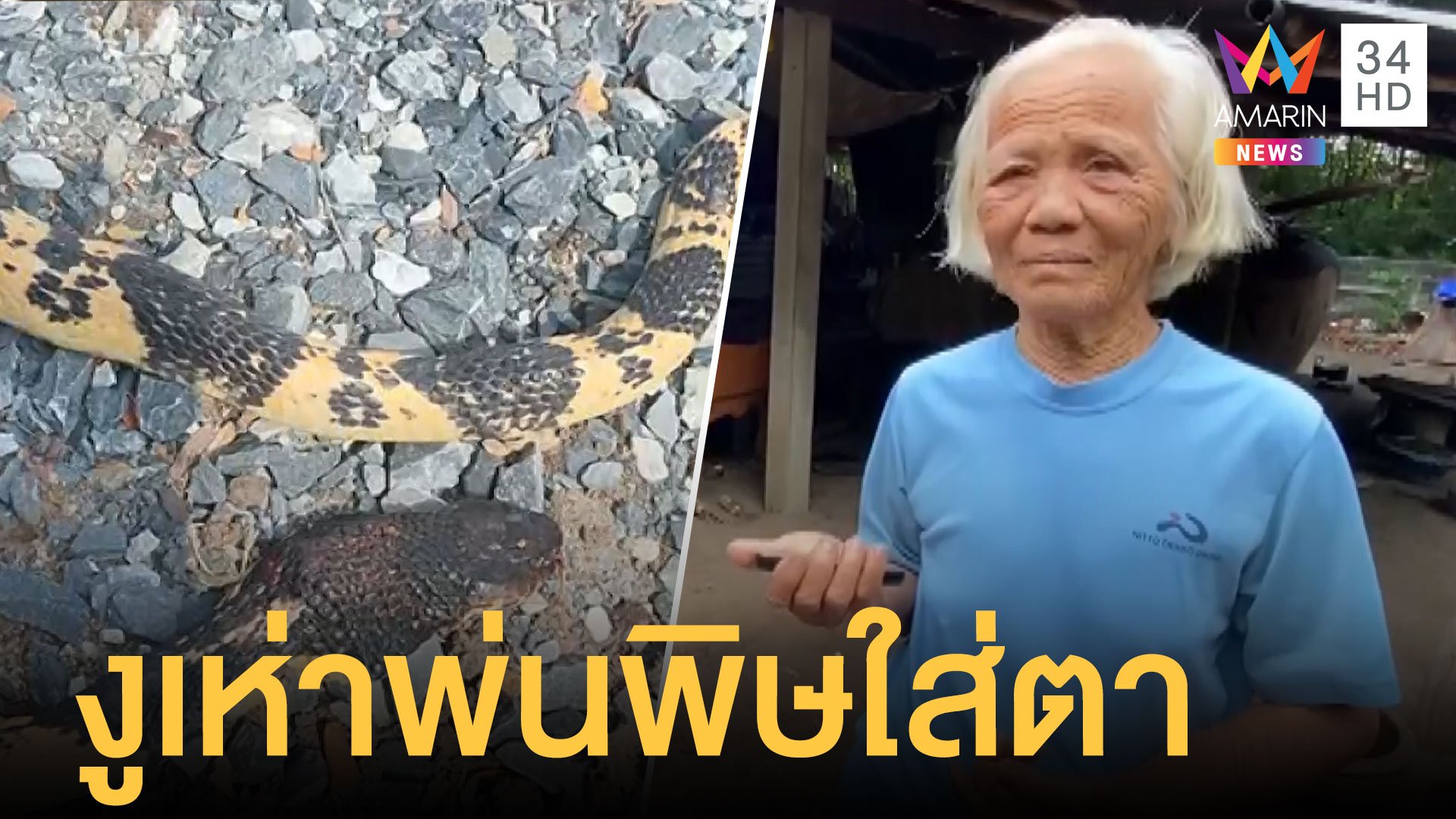 หวิดบอด! ยายวัย 79 ถูกงูเห่าพ่นพิษใส่ตา | ข่าวเที่ยงอมรินทร์ | 10 ส.ค. 63 | AMARIN TVHD34