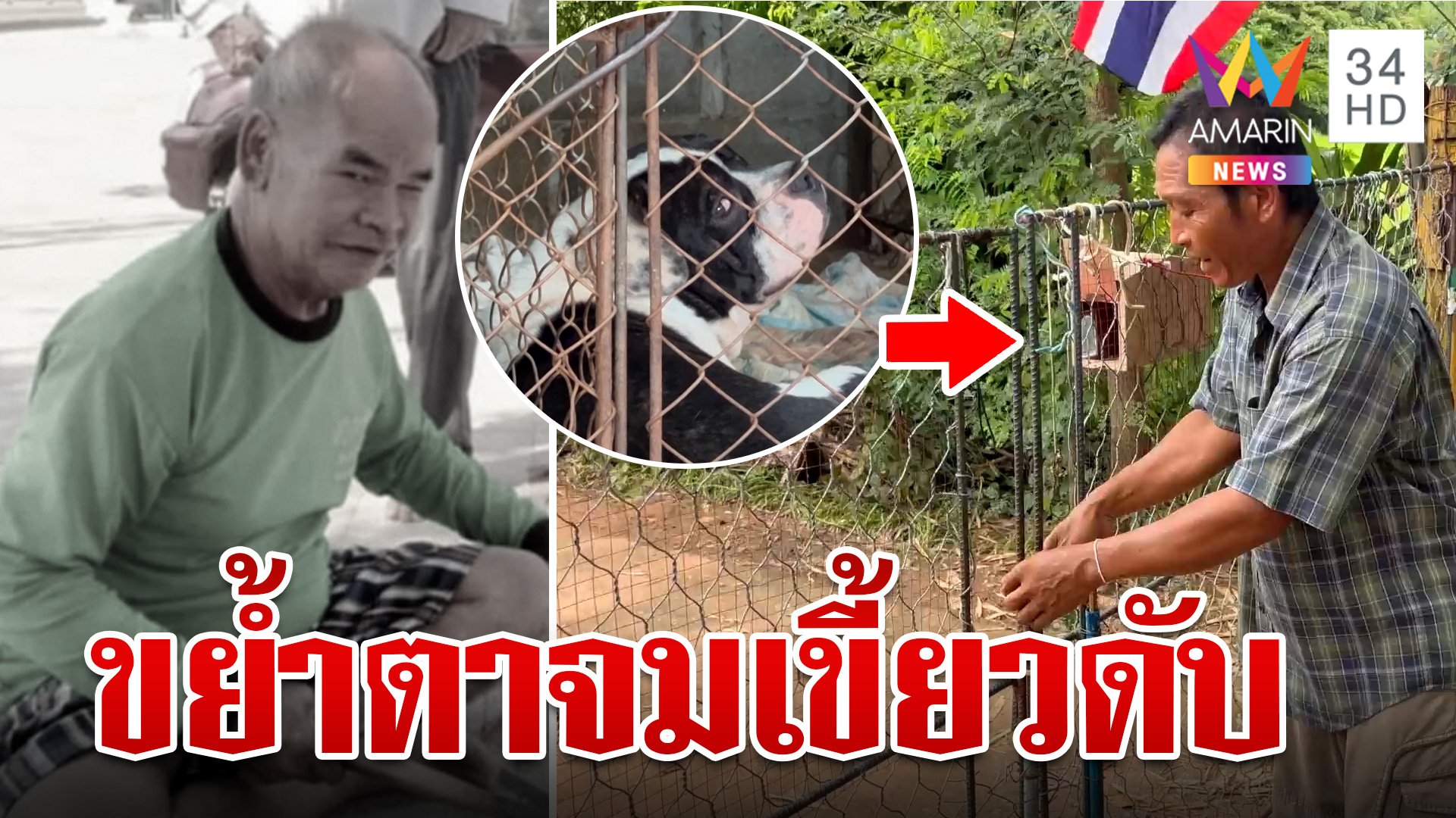 อเมริกันบุลลีขย้ำตา 70 ดับสยอง ลูกคนตายวอนเจ้าของรับผิดชอบ | ทุบโต๊ะข่าว | 25 ก.ค. 67 | AMARIN TVHD34