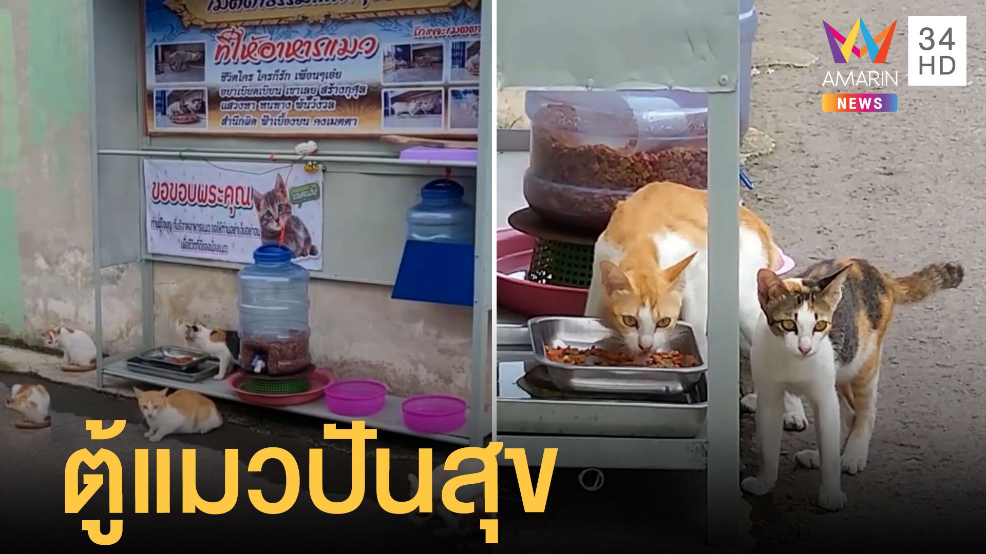 ลุงลำพูนตั้งตู้ปันสุขให้แมวจร บุฟเฟต์อาหารเม็ดทั้งวัน | ข่าวอรุณอมรินทร์ | 10 ก.ค. 65 | AMARIN TVHD34