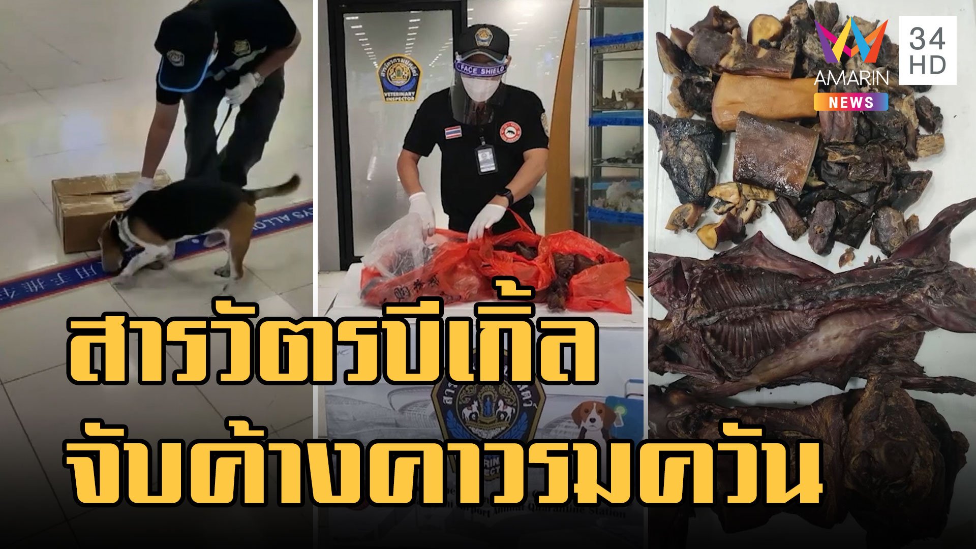 สารวัตรบีเกิ้ล จับค้างคาวรมควันลักลอบนำเข้าไทย | ข่าวอรุณอมรินทร์ | 11 พ.ย. 65 | AMARIN TVHD34