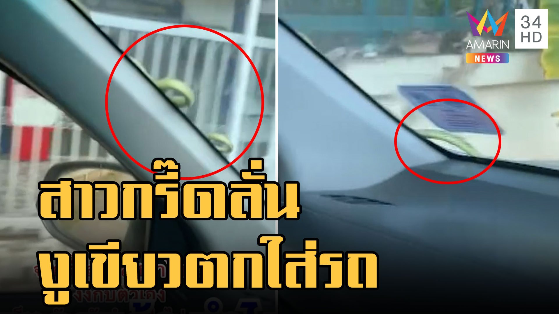 สาวกรี๊ดลั่นรถงูเขียวตกใส่หน้ารถ คนมันกลัวทำไงก็กลัว | ข่าวอรุณอมรินทร์ | 15 พ.ย. 65 | AMARIN TVHD34