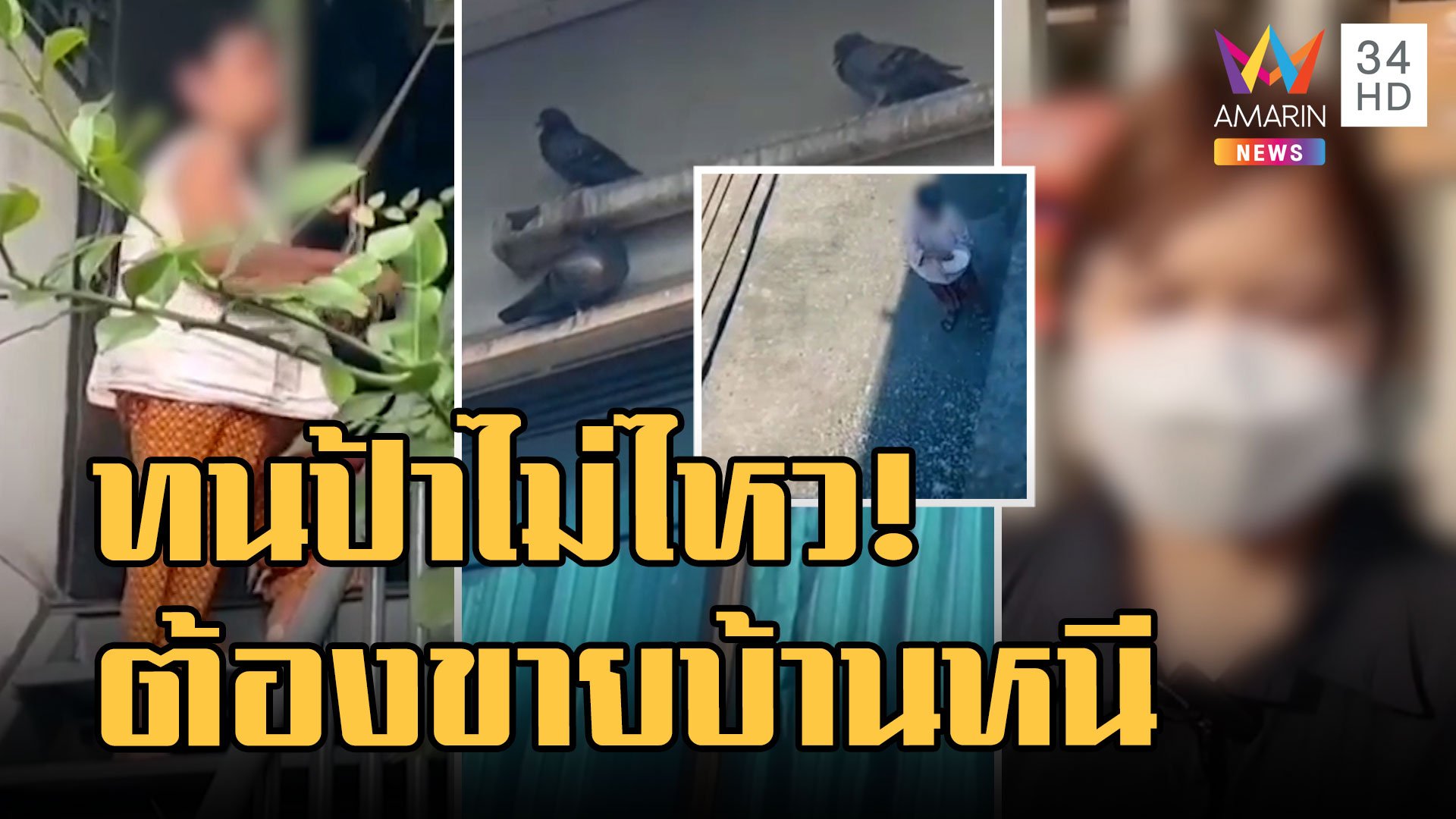 เพื่อนบ้านสุดทน! ขายบ้านขาดทุน ป้าข้างบ้านให้อาหารนก | ข่าวอรุณอมรินทร์ | 16 ธ.ค. 65 | AMARIN TVHD34