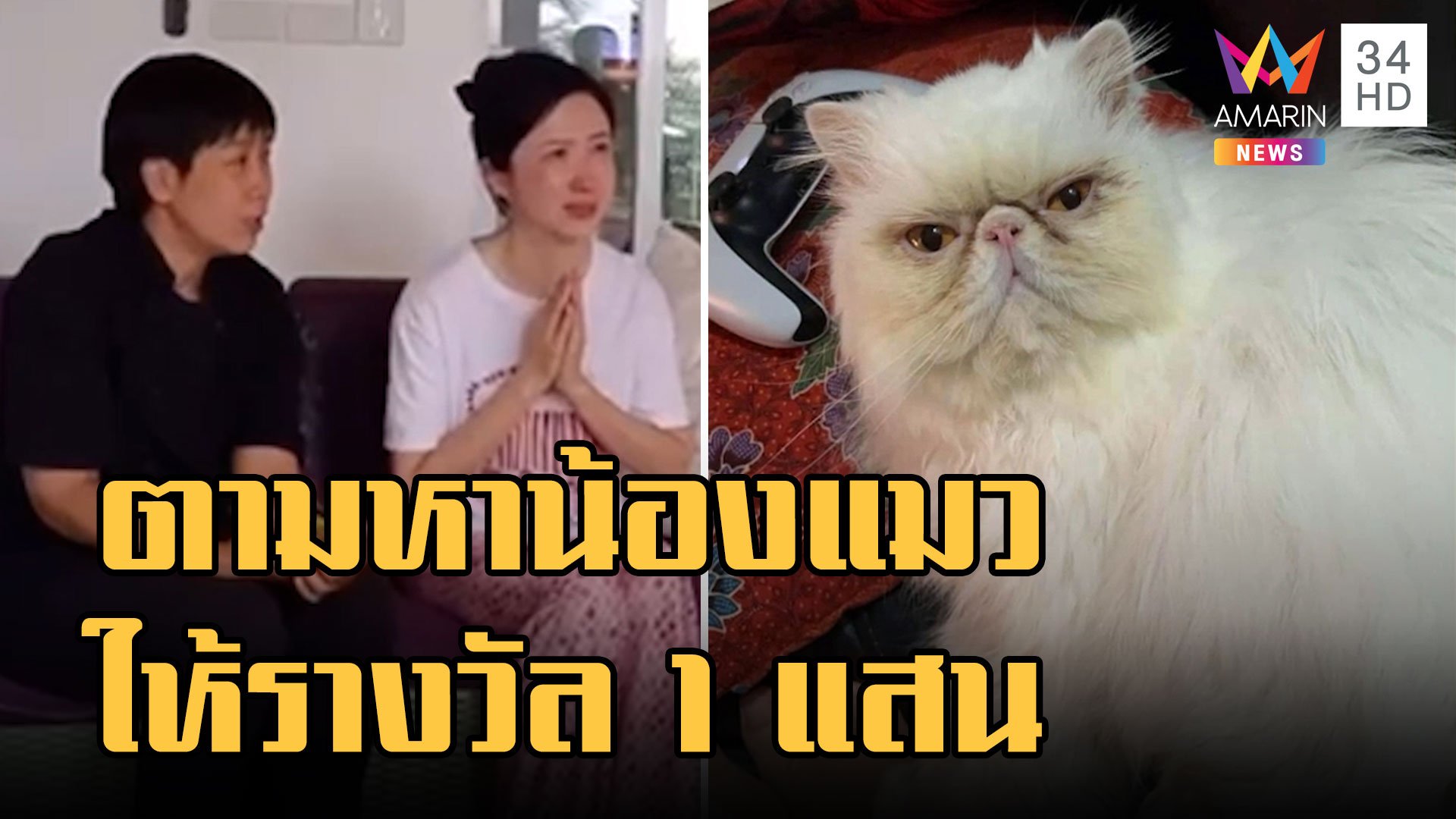 สาวจีนปล่อยโฮตามหาแมวรัก ใจป้ำตั้งรางวัลคนเจอ 1 แสน | ข่าวอรุณอมรินทร์ | 26 ม.ค. 66 | AMARIN TVHD34