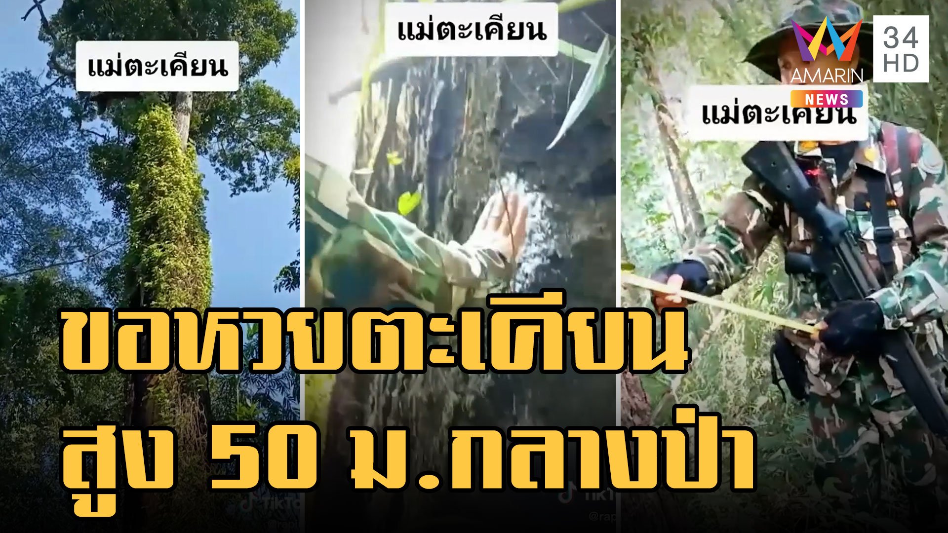 ต้นตะเคียนยักษ์สูง 50 เมตร เข้าป่าทาแป้งขอโชคลาภ | ข่าวอรุณอมรินทร์ | 27 ต.ค. 65 | AMARIN TVHD34