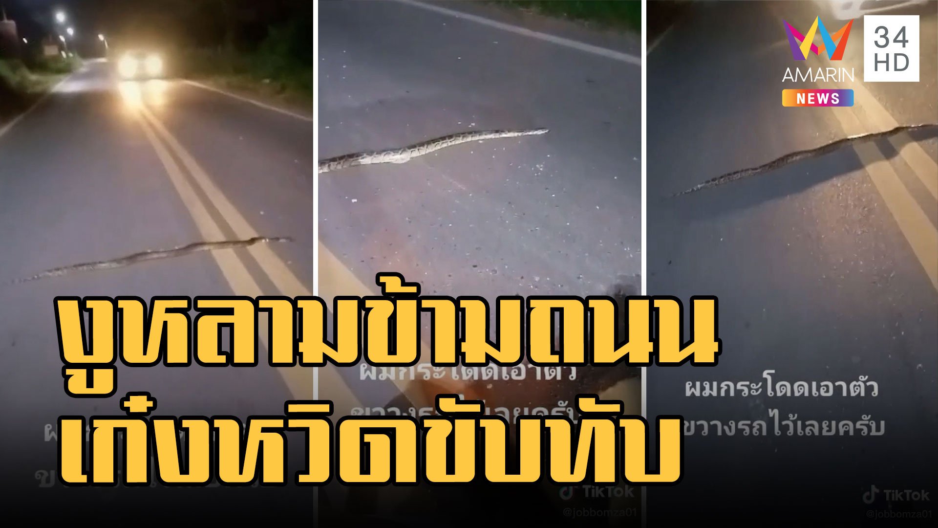 งูหลามเลื้อยข้ามถนน หนุ่มใจบุญโบกรถให้น้องข้ามเข้าป่าไป | ข่าวอรุณอมรินทร์ | 29 ก.ย. 65 | AMARIN TVHD34