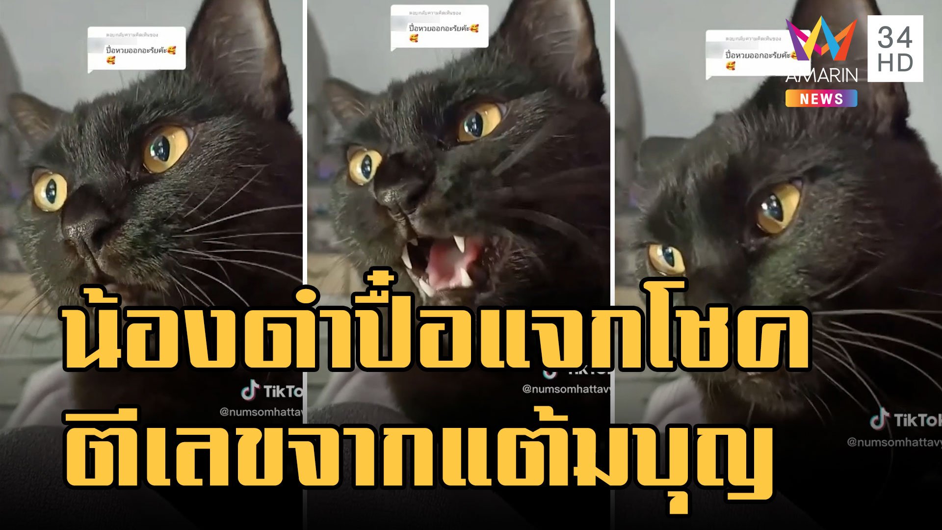 "ดำปื๋อขี้คุย" น้องแมวดำแจกโชค ฟังออกไม่ออกอยู่กับแต้มบุญ | ข่าวอรุณอมรินทร์ | 30 ธ.ค. 65 | AMARIN TVHD34