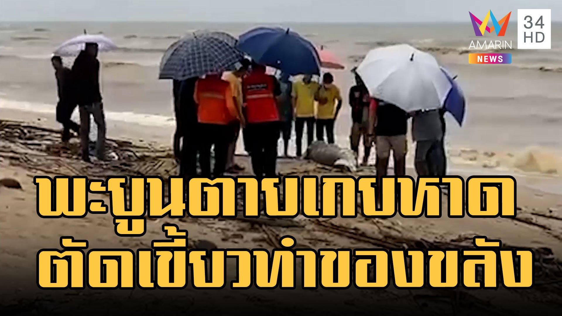 สลด ซากพะยูนเกยหาด ถูกตัดเขี้ยวทำของขลัง | ข่าวอรุณอมรินทร์ | 5 ธ.ค. 65 | AMARIN TVHD34