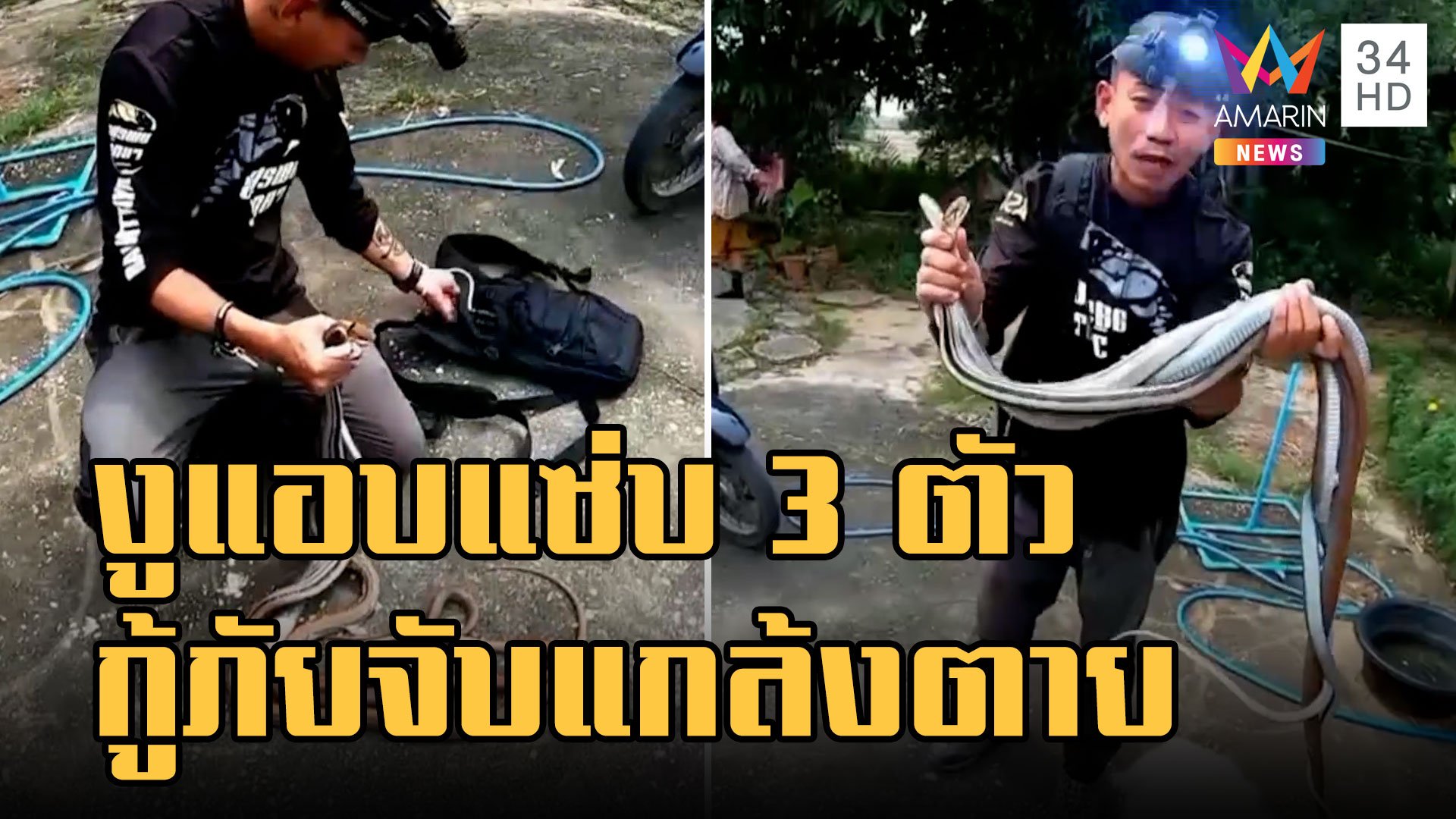 งูทางมะพร้าวแอบแซ่บ 3 ตัว กู้ภัยจับทำแกล้ตาย | ข่าวอรุณอมรินทร์ | 6 ธ.ค. 65 | AMARIN TVHD34