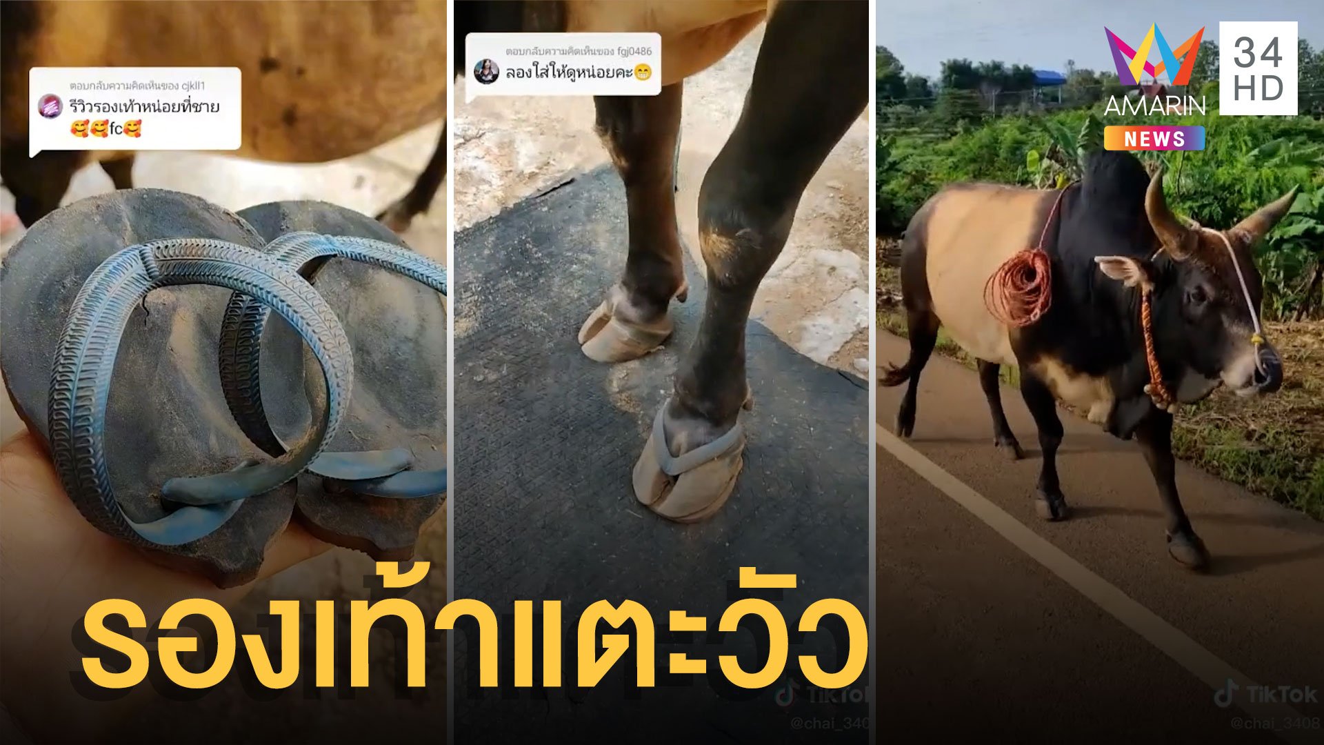 รีวิวการใส่รองเท้าแตะหนีบให้วัวชน เดินไกลๆ พื้นร้อนสงสารน้อง | ข่าวอรุณอมรินทร์ | 6 ส.ค. 65 | AMARIN TVHD34