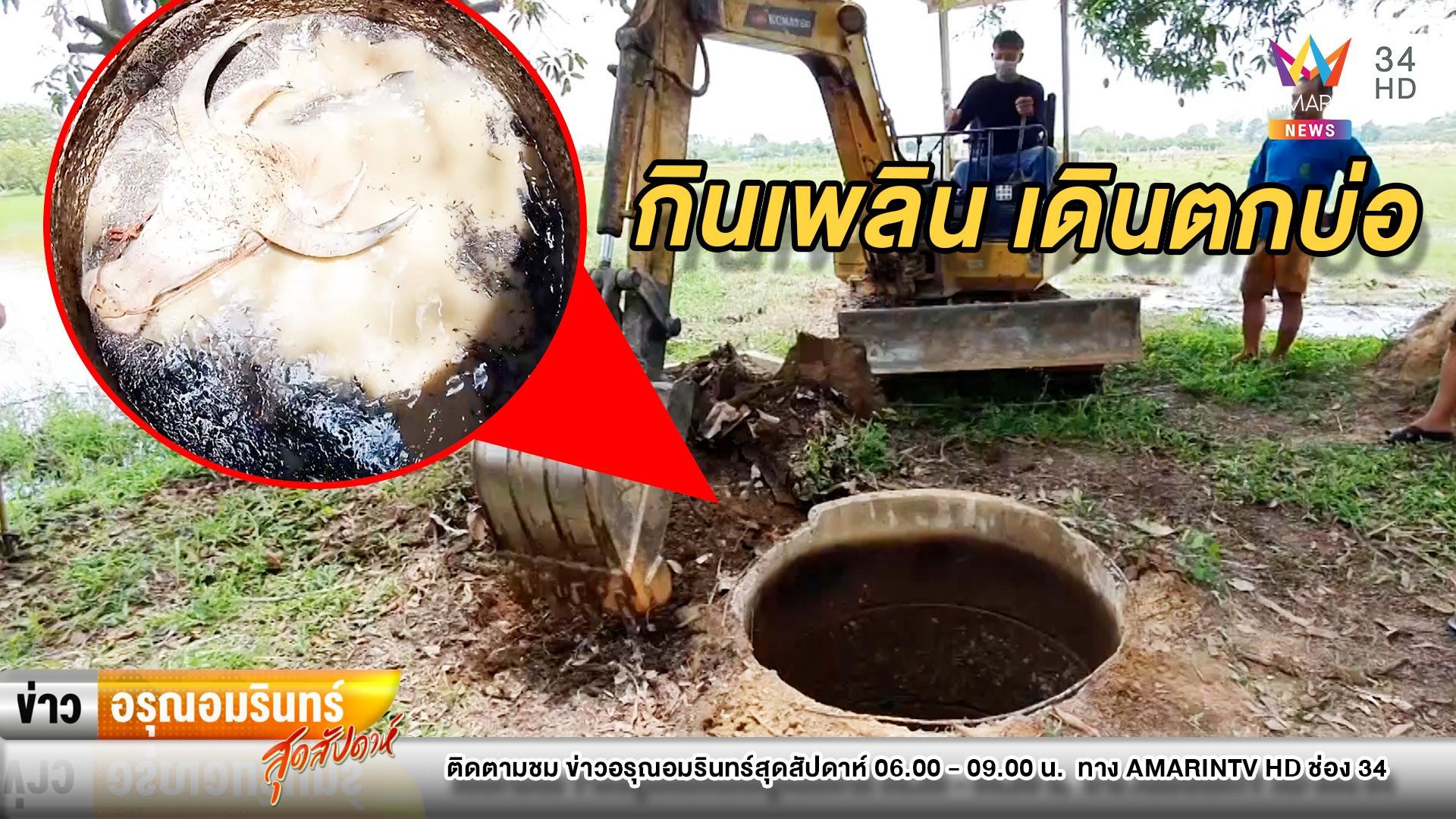 ลุยช่วย “สายฟ้า” ควายเผือกกินมะม่วงเพลิน พลาดตกบ่อลึก 3.5 เมตร | ข่าวอรุณอมรินทร์ | 2 พ.ค. 64 | AMARIN TVHD34