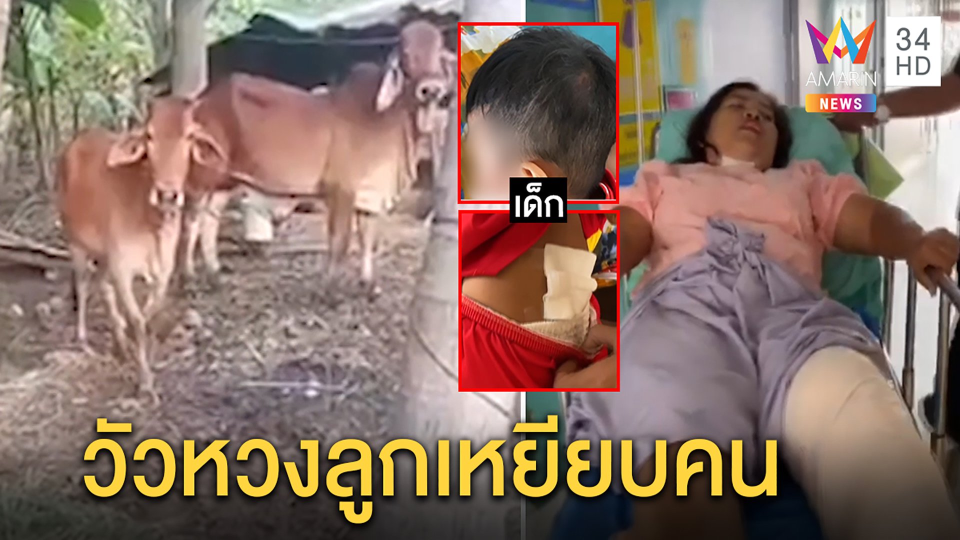 ระทึก!วัวแม่ลูกอ่อนคลั่งตื่นคนกระทืบเจ็บ 2 ป้าเผยนาทีเอาตัวบังหลาน 1 ขวบรอดตาย | ทุบโต๊ะข่าว | 9 พ.ย. 63 | AMARIN TVHD34