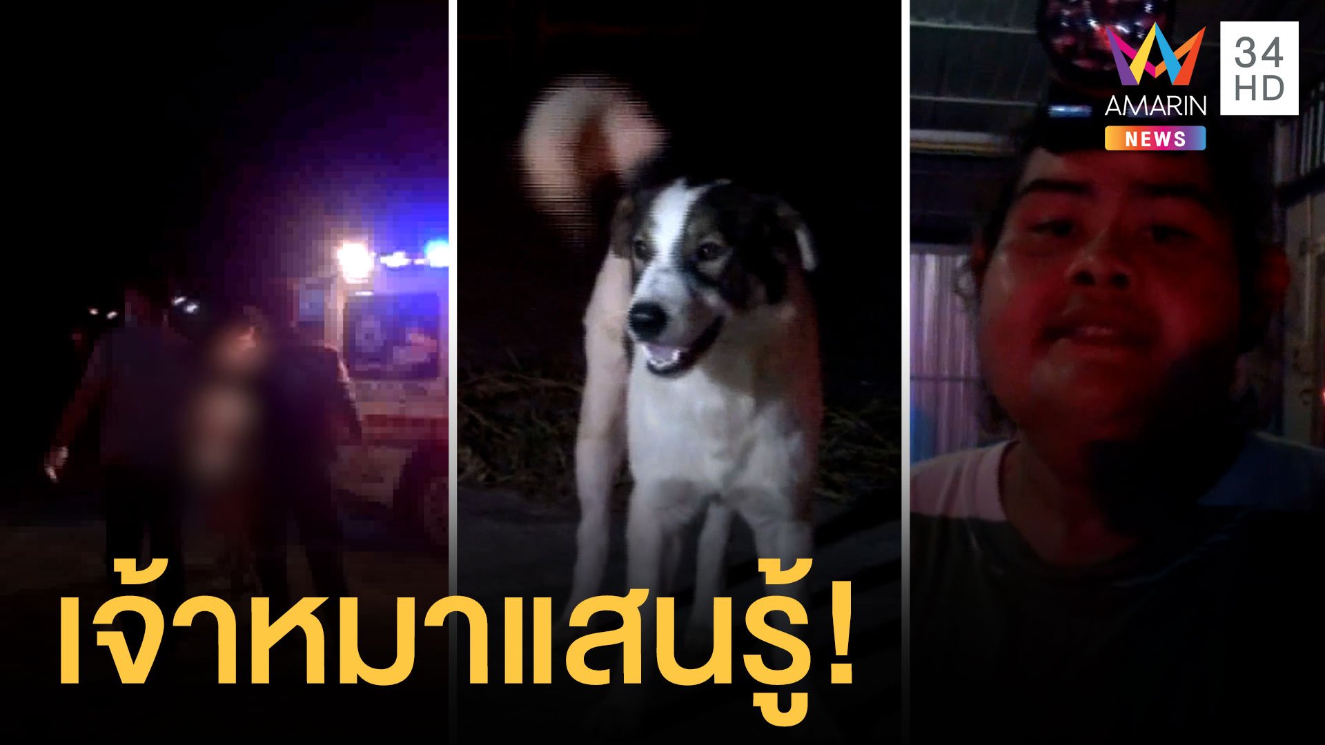 เจ้าของตายในบ้าน หมาตามเพื่อนบ้านมาช่วยเจ้านาย | ข่าวอรุณอมรินทร์ | 14 ก.พ. 64 | AMARIN TVHD34
