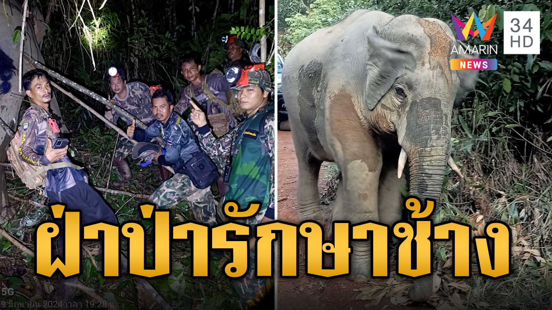 เจ้าหน้าที่ฝ่าป่า รักษา 3 ช้างบาดเจ็บ | ข่าวอรุณอมรินทร์ | 21 มิ.ย. 67 | AMARIN TVHD34