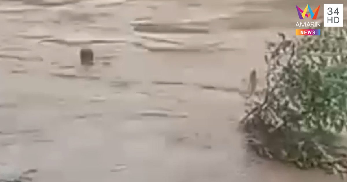 1_1