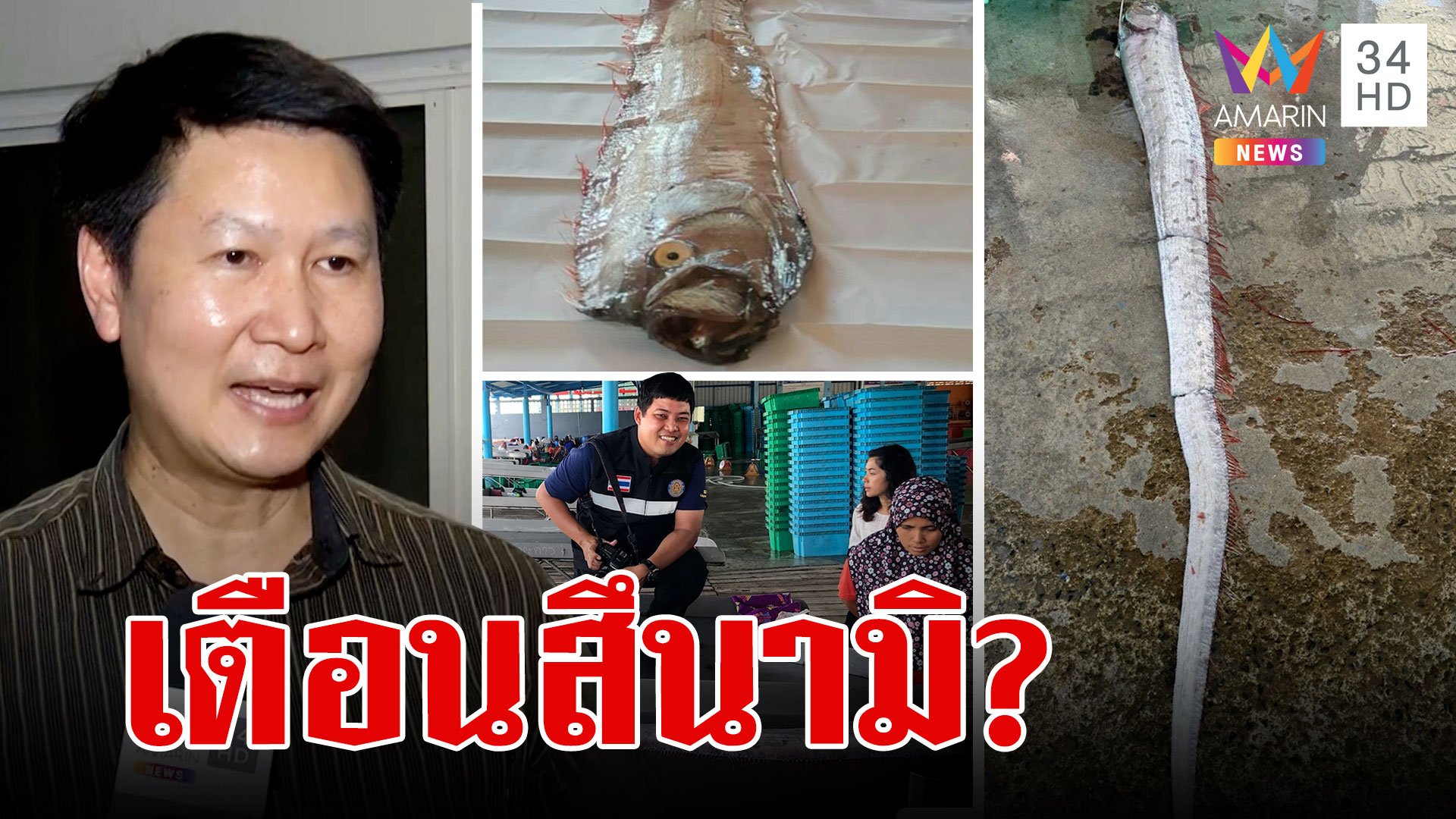 ปลาพญานาคโผล่ในไทยผวาสึนามิ อ.เจษฎา เชื่อมวลน้ำเปลี่ยนวนเข้าไทย | ทุบโต๊ะข่าว | 4 ม.ค. 67 | AMARIN TVHD34