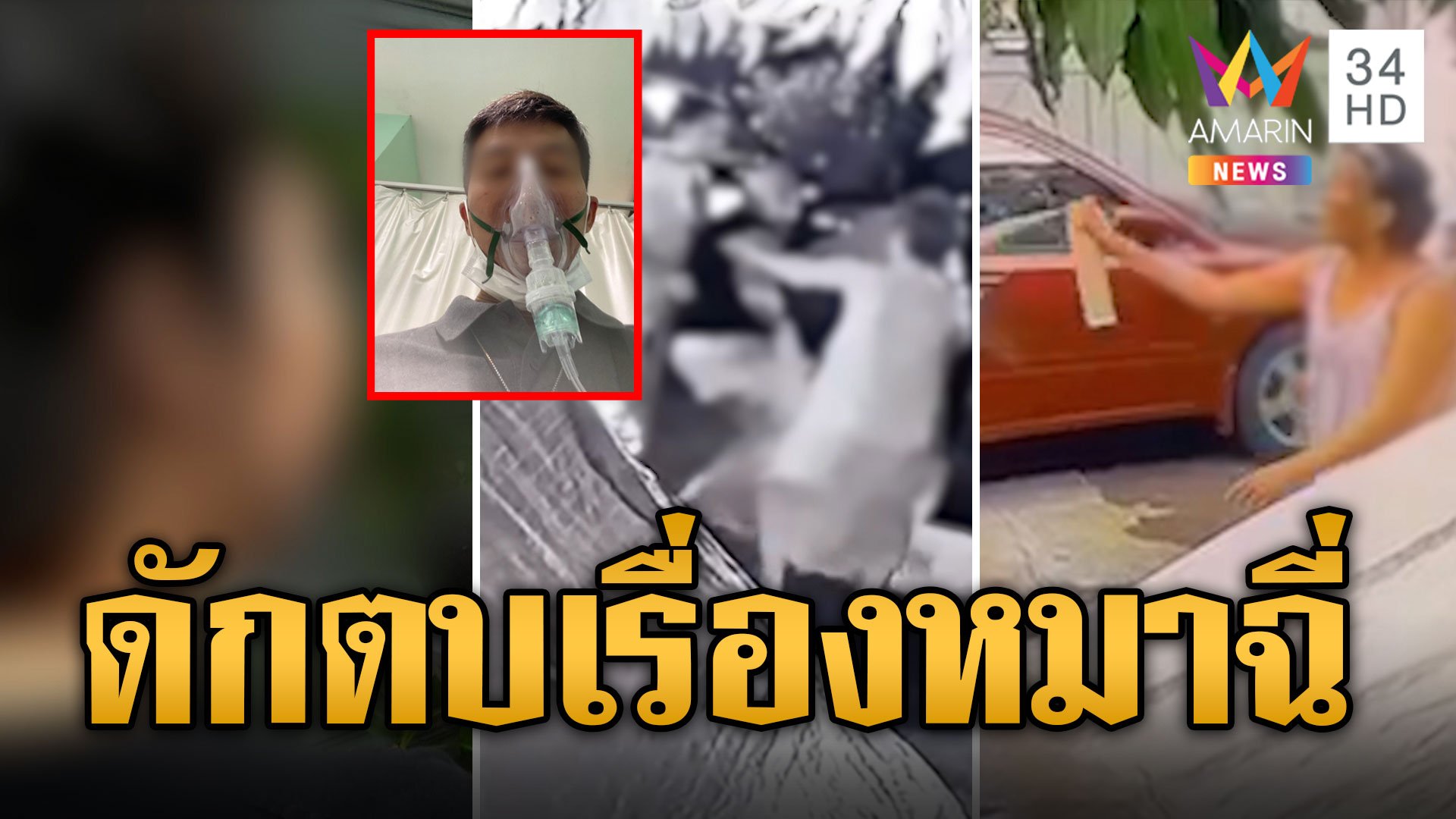 เรื่องหมาฉี่! สาวแค้นเพื่อนบ้านฉีดยาฆ่าแมลงใส่หน้าพ่อ ดักตบชุลมุน | ข่าวอรุณอมรินทร์ | 4 ธ.ค. 66 | AMARIN TVHD34