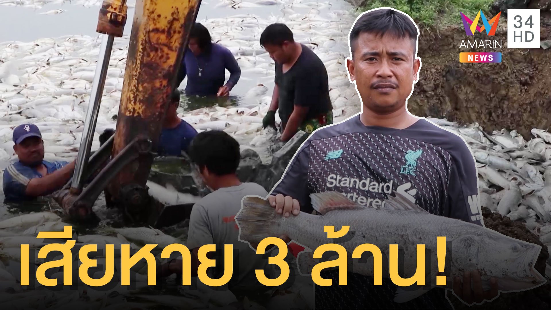 คนเลี้ยงปลากะพงน้ำตาร่วง ปลาตายยกบ่อสูญ 3 ล้าน! | ข่าวอรุณอมรินทร์ | 25 พ.ค. 63 | AMARIN TVHD34