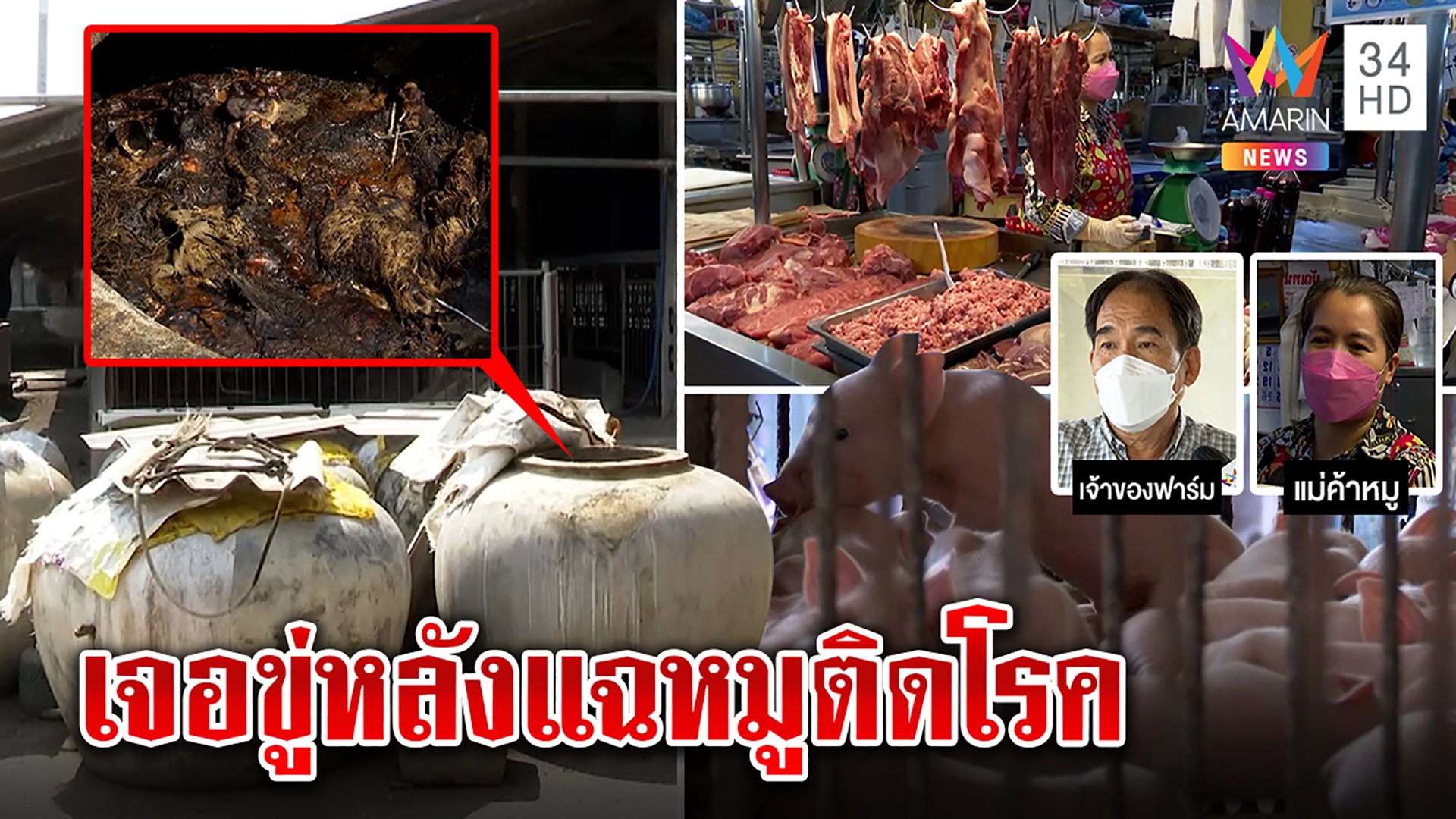 เปิดภาพซากหมูติดอหิวาต์แอฟริกาซุกโอ่ง เจ้าของฟาร์มโอดหมดตัว เจอขู่แฉหมูติดโรค | ทุบโต๊ะข่าว | 13 ม.ค. 65 | AMARIN TVHD34