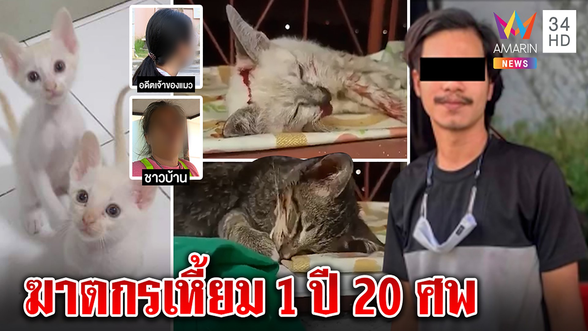 สาวปล่อยโฮโจ๋วิปริตขอแมวไปฆ่า เพื่อนบ้านแฉบุหรี่จี้ทุ่มพื้นฝังมาแล้ว 20 ศพ  | ทุบโต๊ะข่าว | 14 ม.ค. 65 | AMARIN TVHD34