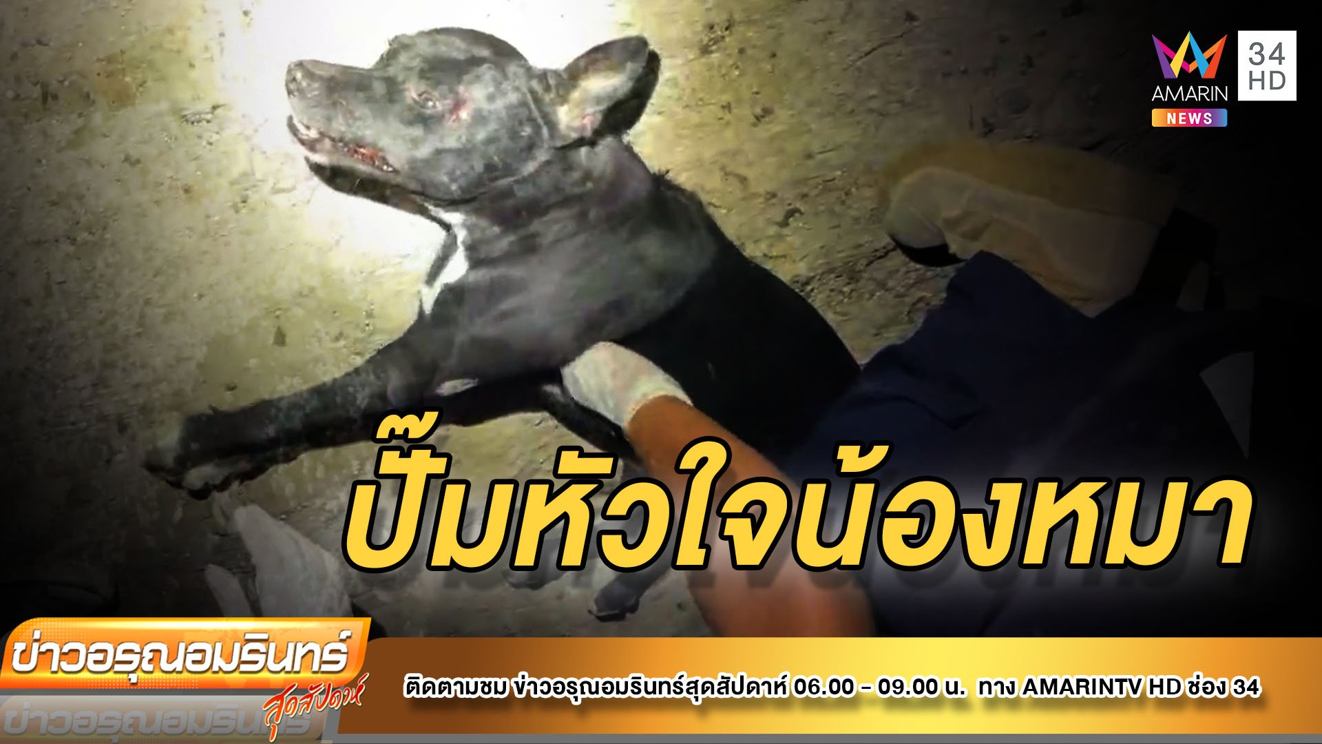 ชื่นชม! กู้ภัยเร่งปั๊มหัวใจช่วยชีวิตน้องหมาถูกรถชนจนฟื้น | ข่าวอรุณอมรินทร์ | 19 ธ.ค. 64 | AMARIN TVHD34