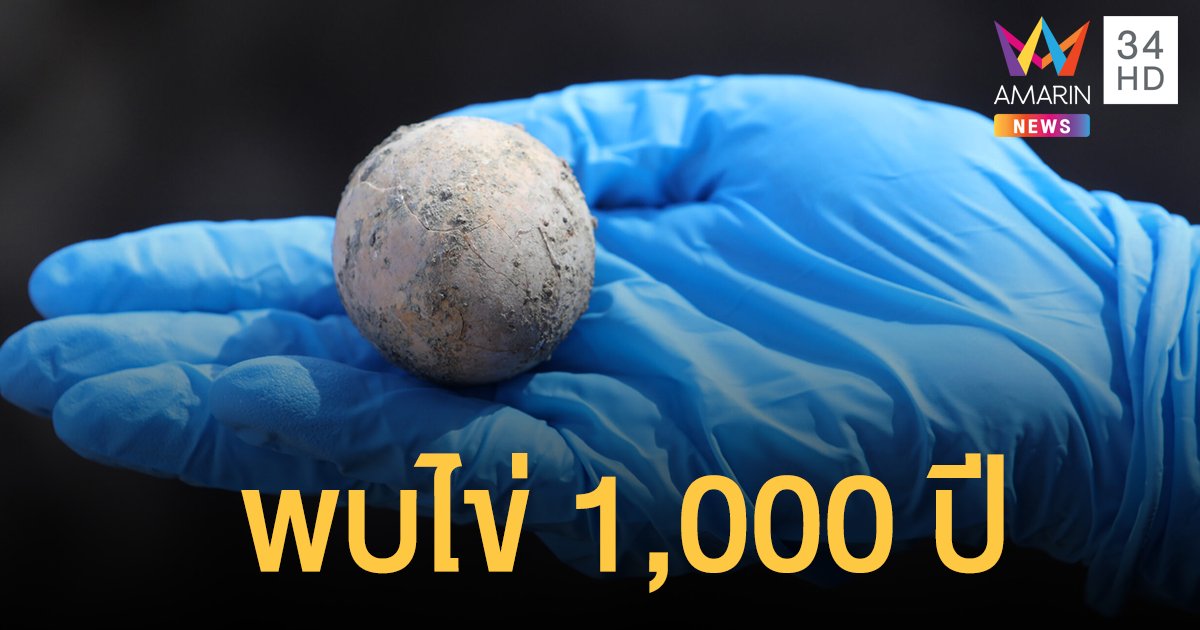 นักโบราณคดีอิสราเอลขุดพบ ไข่ไก่ อายุ 1,000 ปี สภาพสมบูรณ์