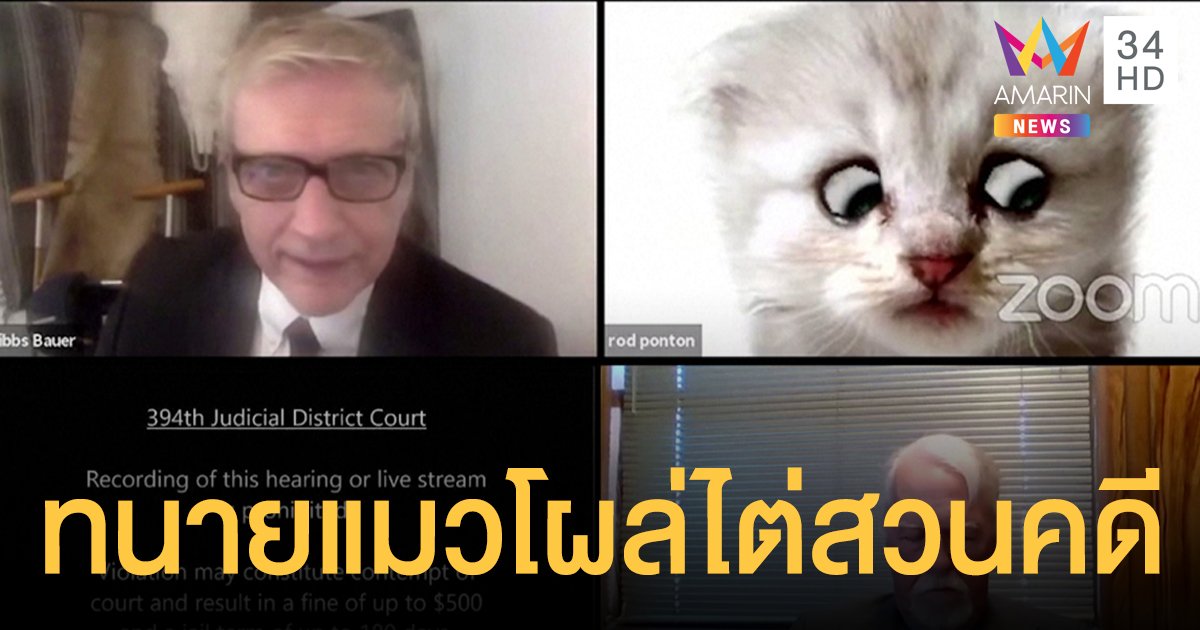 ทนายสหรัฐฯ เผลอเปิดฟิลเตอร์ "หน้าแมว" ขณะไต่สวนออนไลน์ ผู้พิพากษา-อัยการสอนปิดวุ่น 