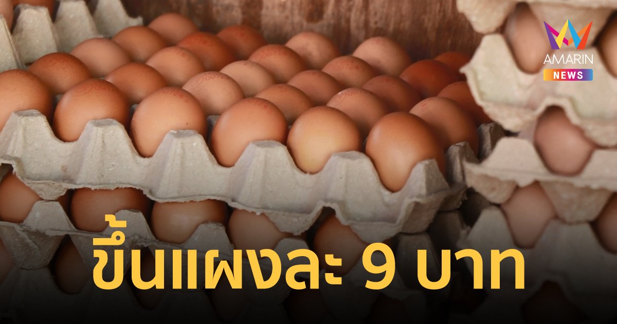 เตรียมควักเงินเพิ่ม! ไข่ไก่ ขึ้นราคา แผงละ 9 บาท มีผลพรุ่งนี้ (1 มี.ค.65) 