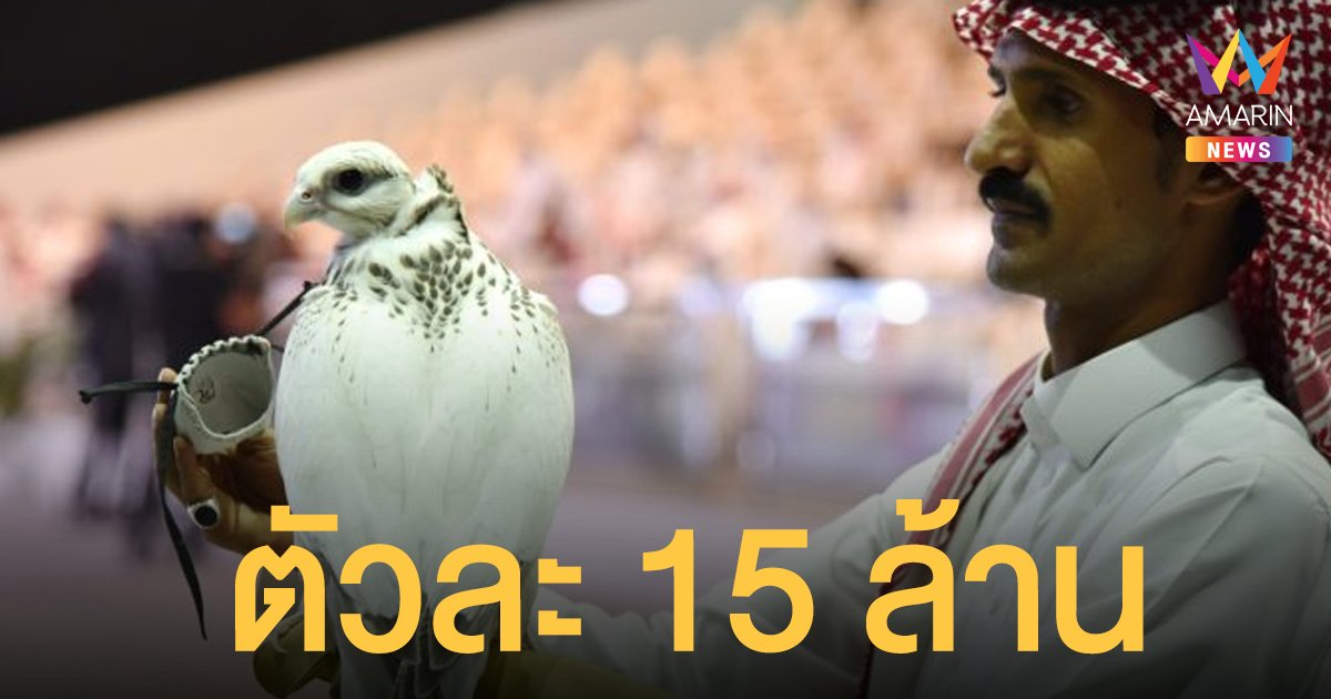 ฮือฮา! นกเหยี่ยวไจร์ฟัลคอน แพงสุดในโลก ราคาตัวละ 15 ล้าน
