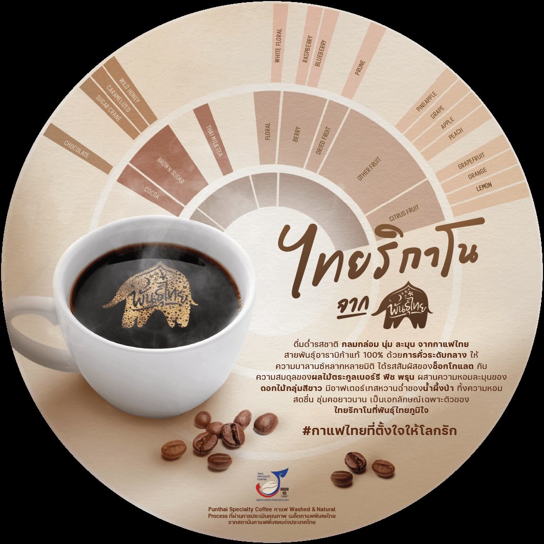 ไทยริกาโน (Thairicano)  กาแฟอาราบิก้า 100% จากแม่ฮ่องสอน โดย พันธุ์ไทย