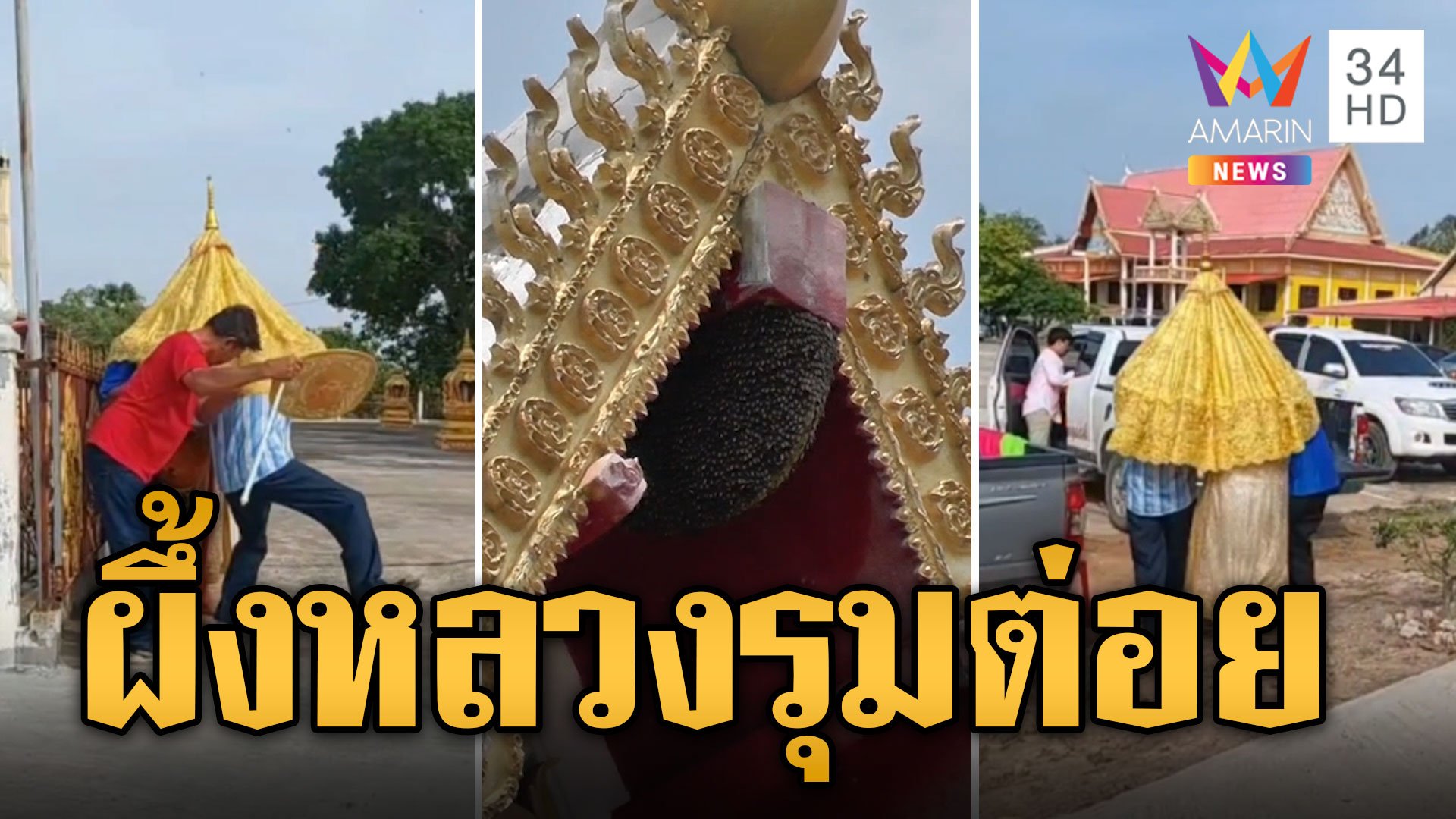 ไม่ชอบเพลงเมียน้อยคอยรัก ผึ้งหลวงรุมต่อยขบวนแห่นาค  | ข่าวอรุณอมรินทร์ | 19 พ.ค. 67 | AMARIN TVHD34