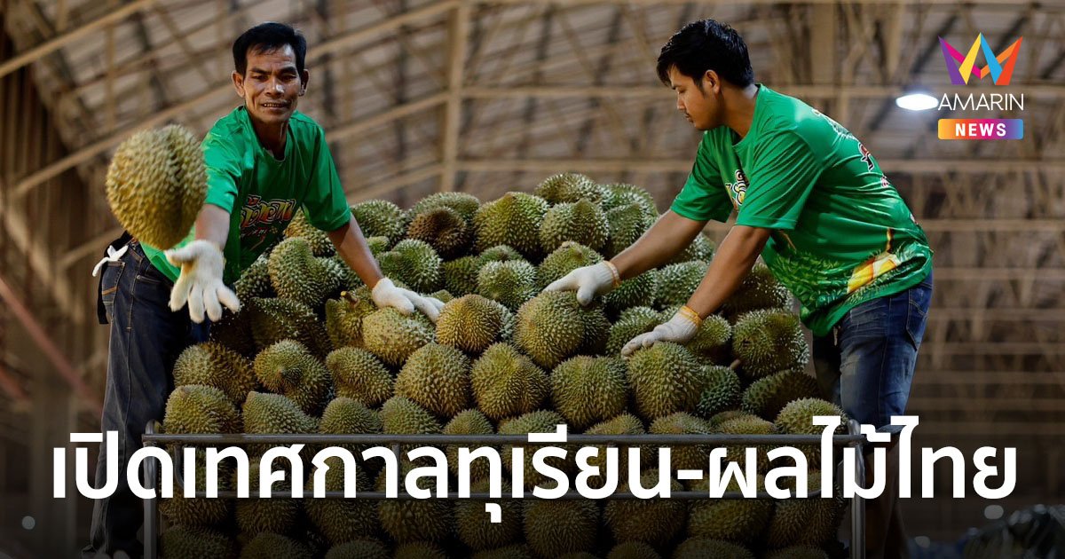 ตลาดไท เปิดเทศกาลทุเรียน-ผลไม้ไทย ชูความหลากหลายสายพันธุ์ ครบครัน ทุกเกรด